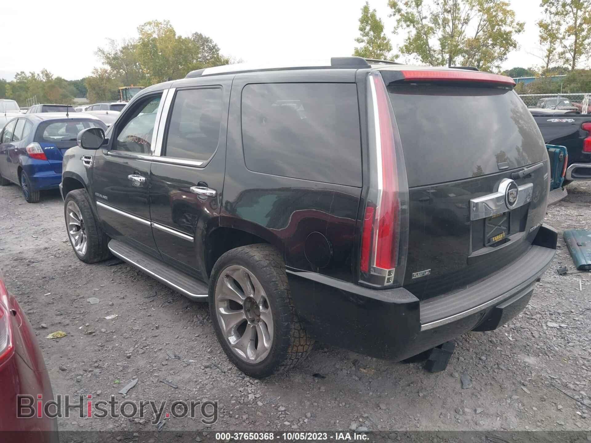 2011 CADILLAC ESCALADE - VIN: 1GYS4BEF8BR257034 - Фото 3