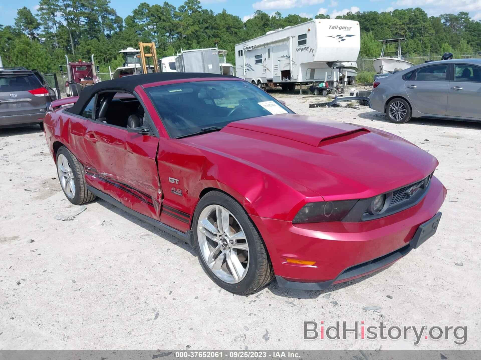 Photo 1ZVBP8FH9A5102656 - FORD MUSTANG 2010