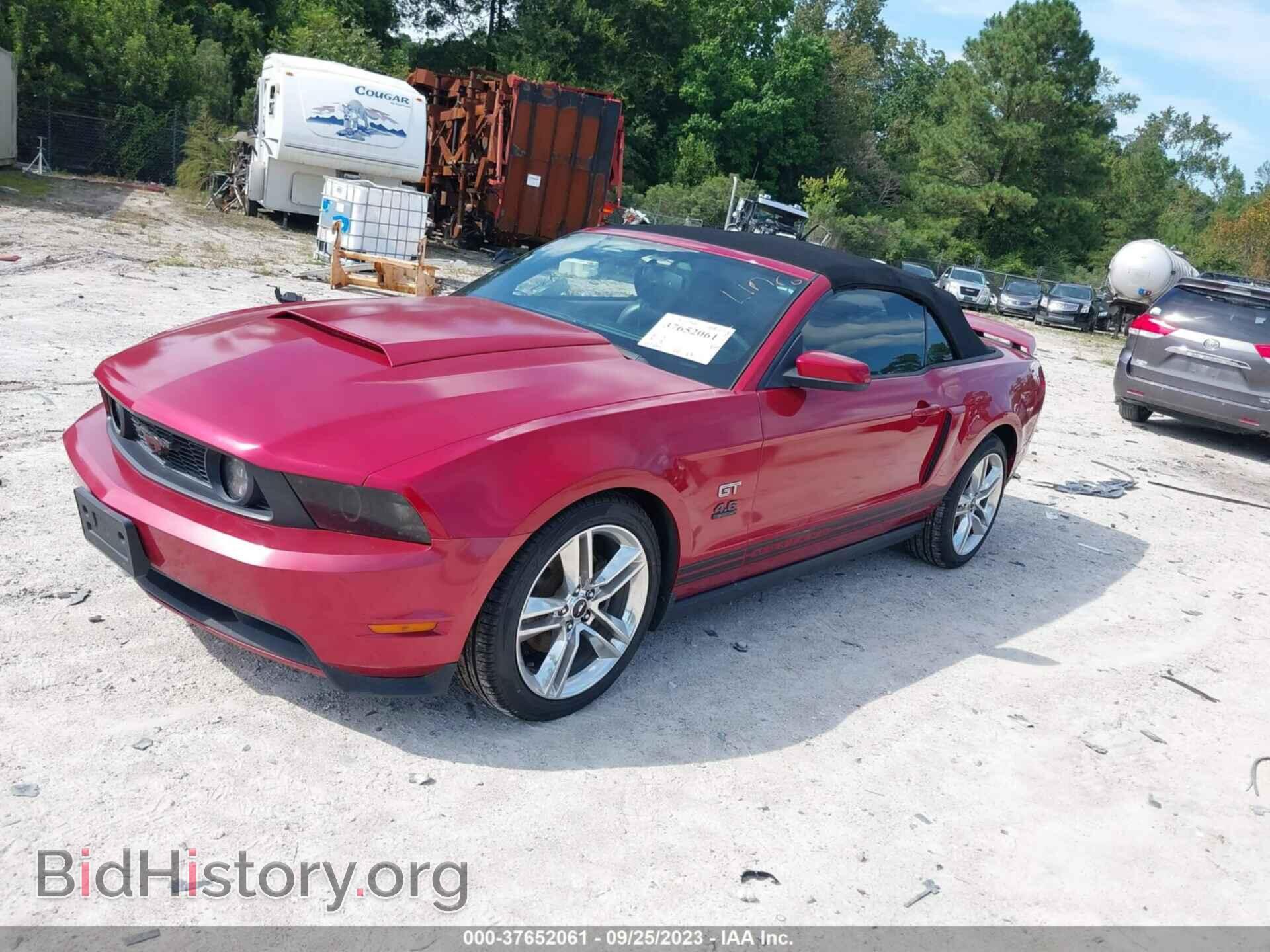 2010 FORD MUSTANG - VIN: 1ZVBP8FH9A5102656 - Фото 2