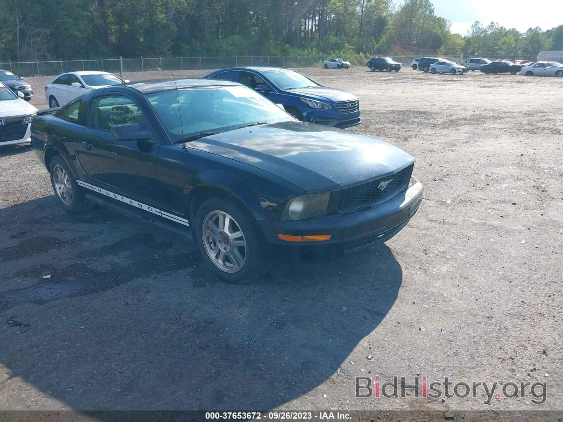 Photo 1ZVHT80N985148549 - FORD MUSTANG 2008