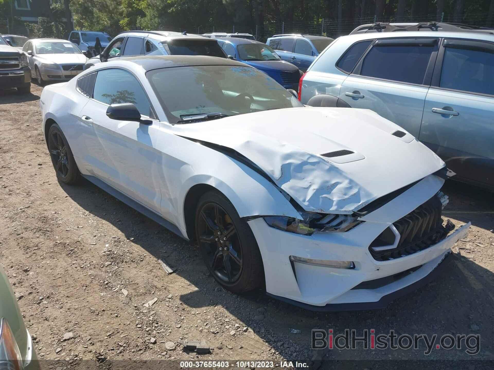 Photo 1FA6P8TH1K5201293 - FORD MUSTANG 2019