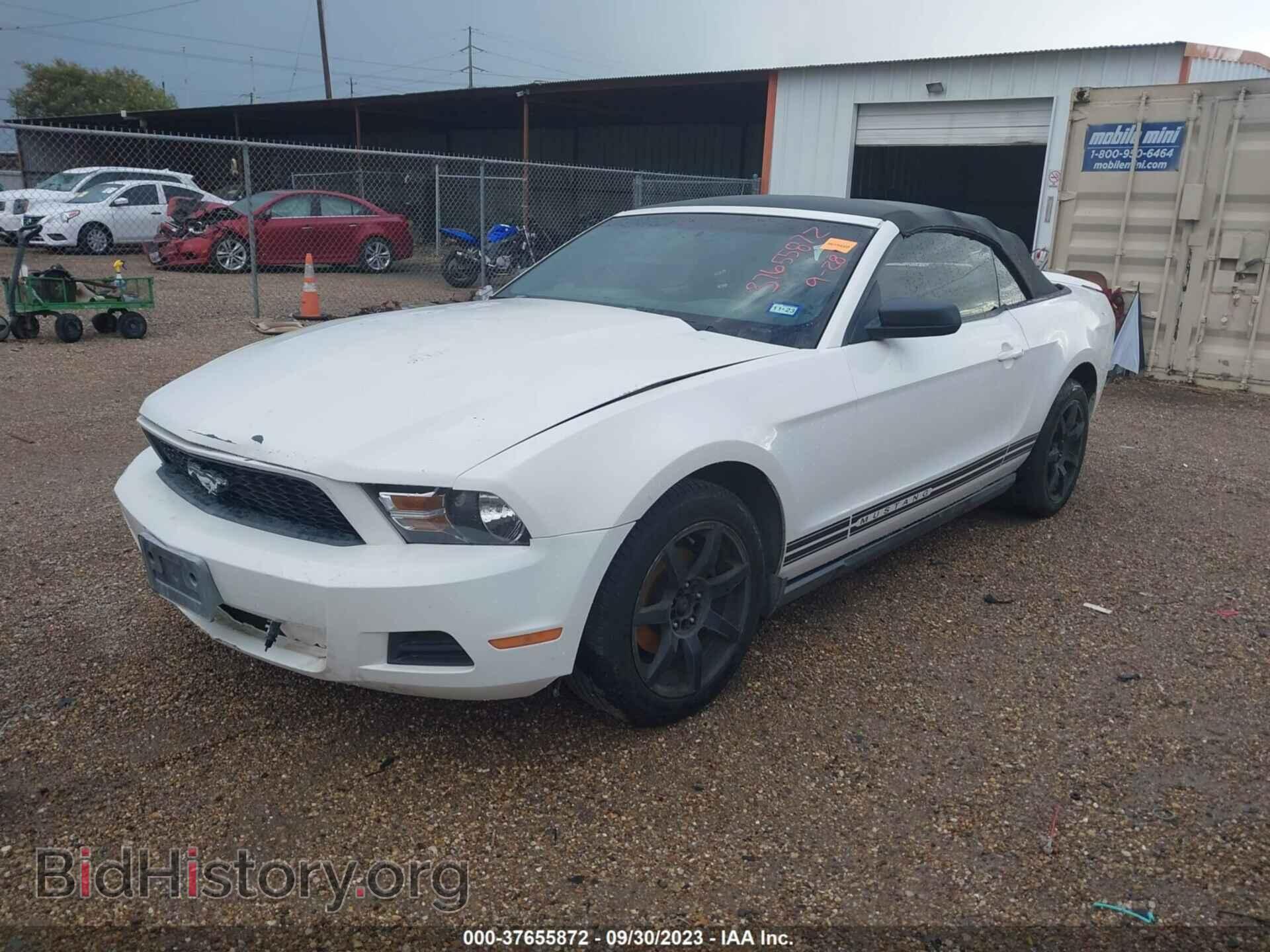 2010 FORD MUSTANG - VIN: 1ZVBP8EN8A5151774 - Фото 2