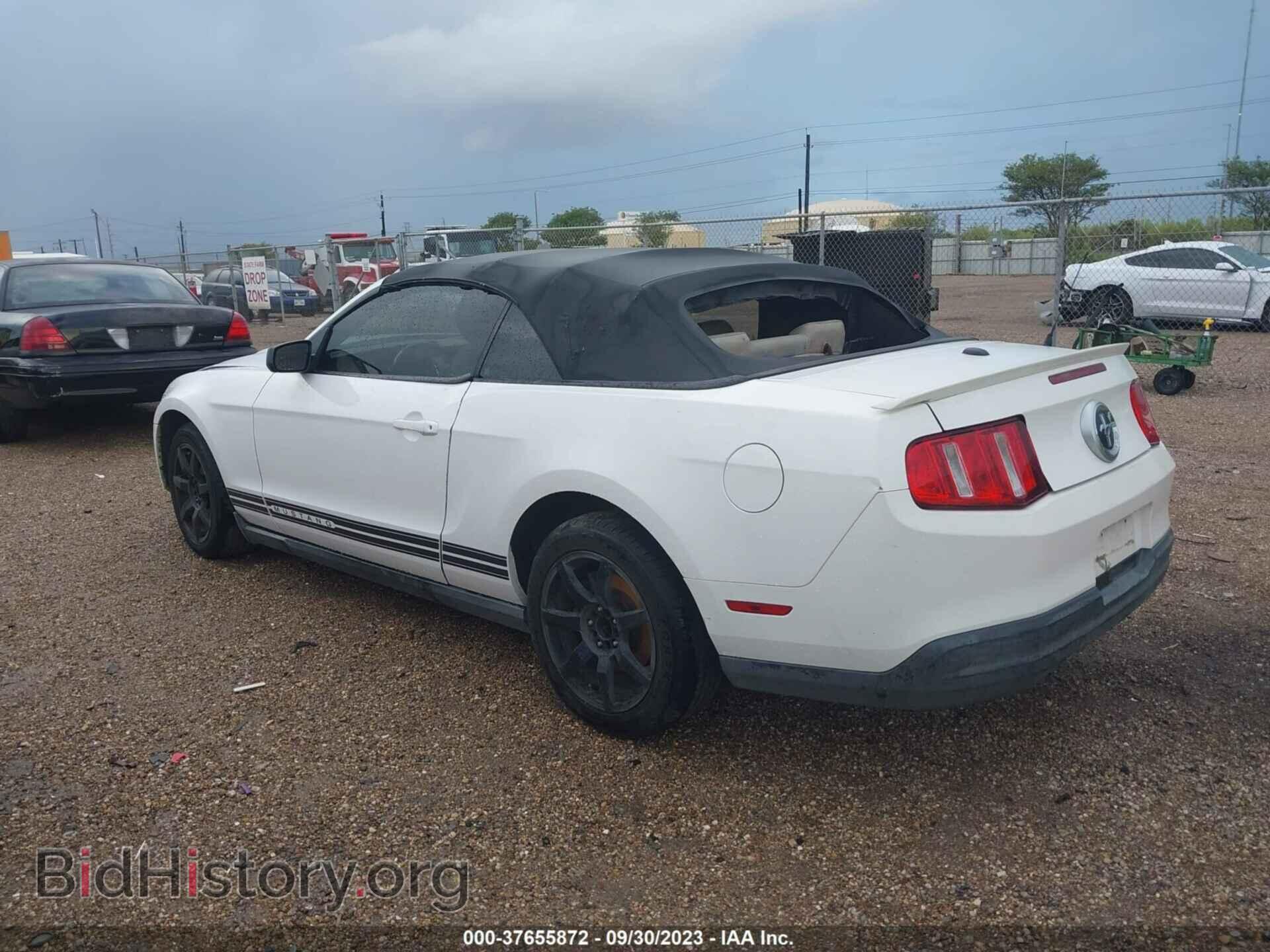 2010 FORD MUSTANG - VIN: 1ZVBP8EN8A5151774 - Фото 3