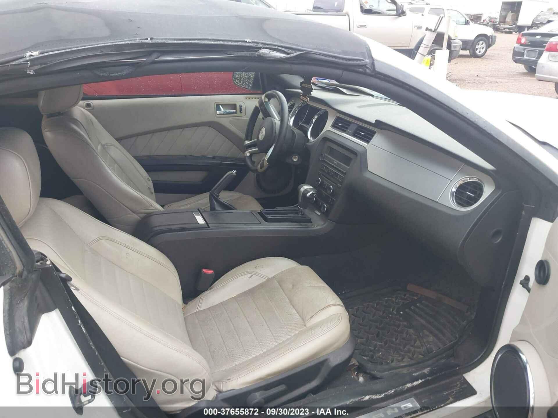 2010 FORD MUSTANG - VIN: 1ZVBP8EN8A5151774 - Фото 5