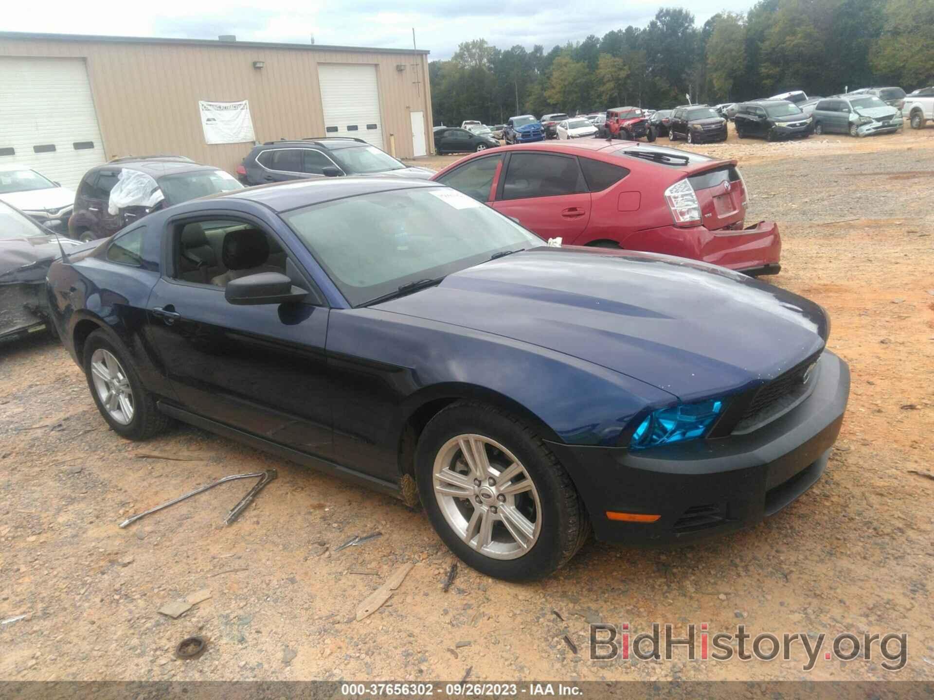 Photo 1ZVBP8AM1C5261291 - FORD MUSTANG 2012