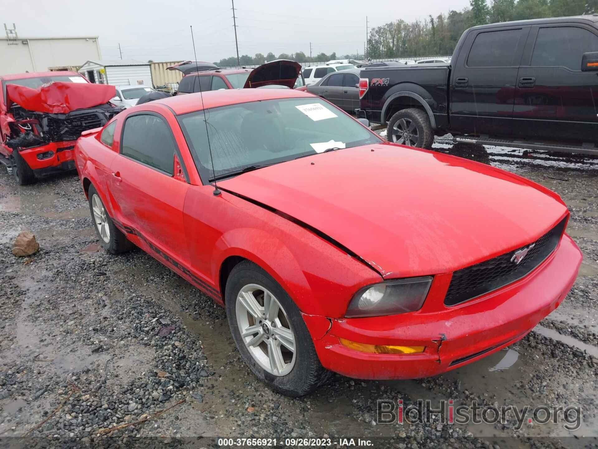Photo 1ZVFT80N375370574 - FORD MUSTANG 2007