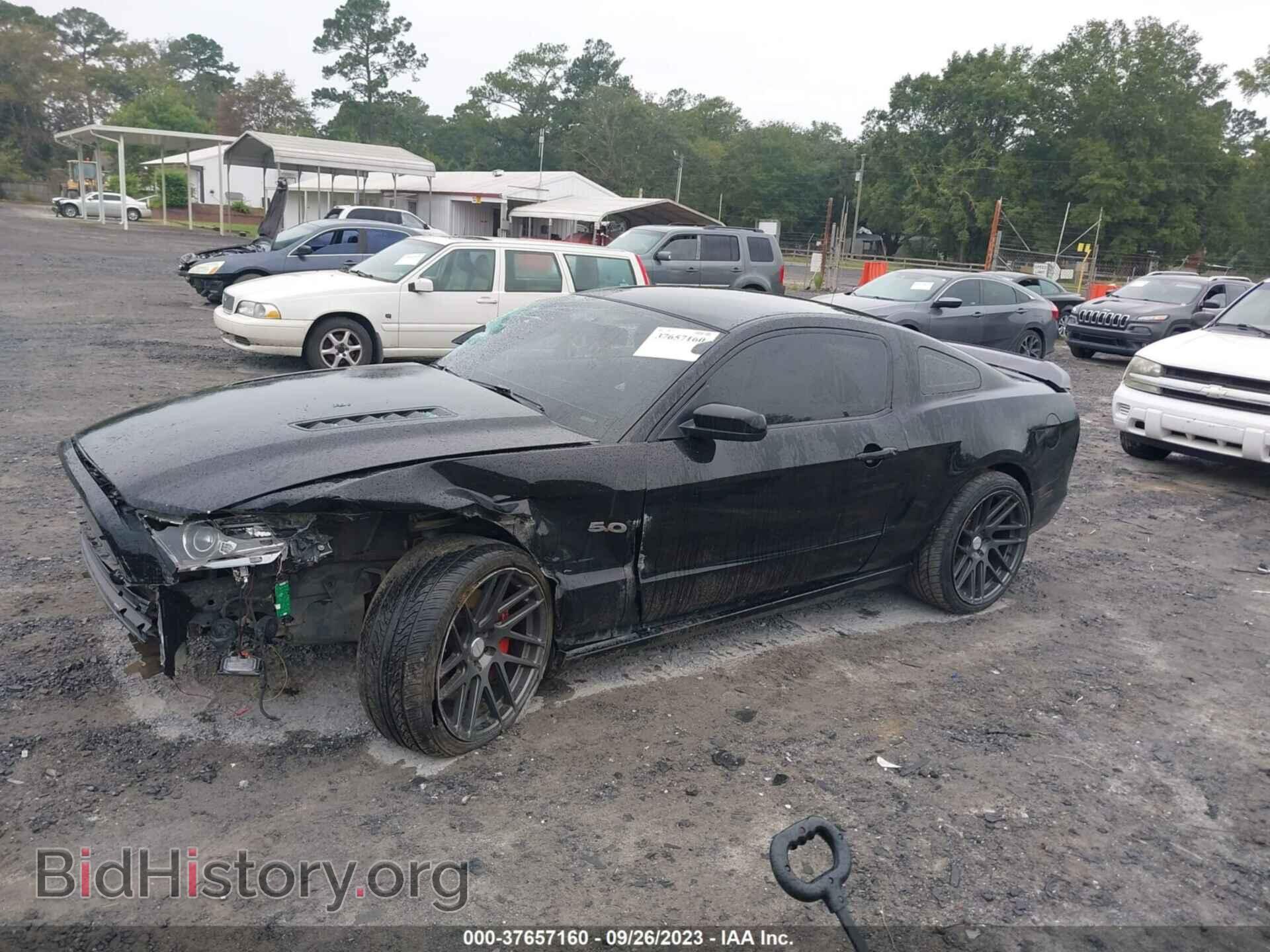 2013 FORD MUSTANG - VIN: 1ZVBP8CF8D5263071 - Фото 2