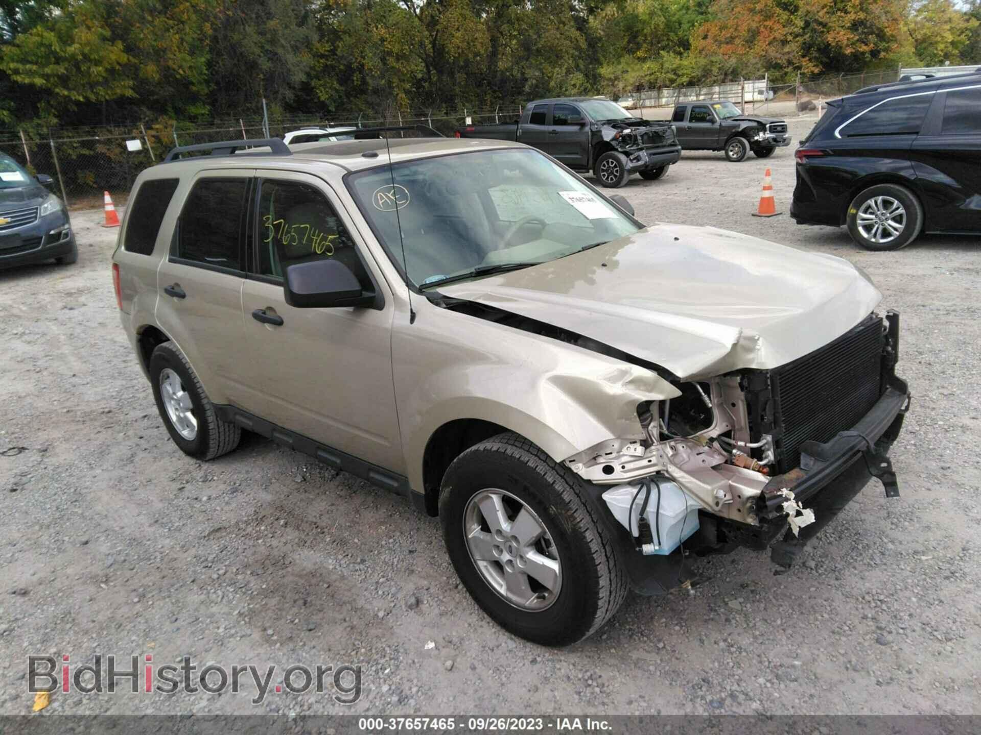 Фотография 1FMCU0DG7BKB58380 - FORD ESCAPE 2011