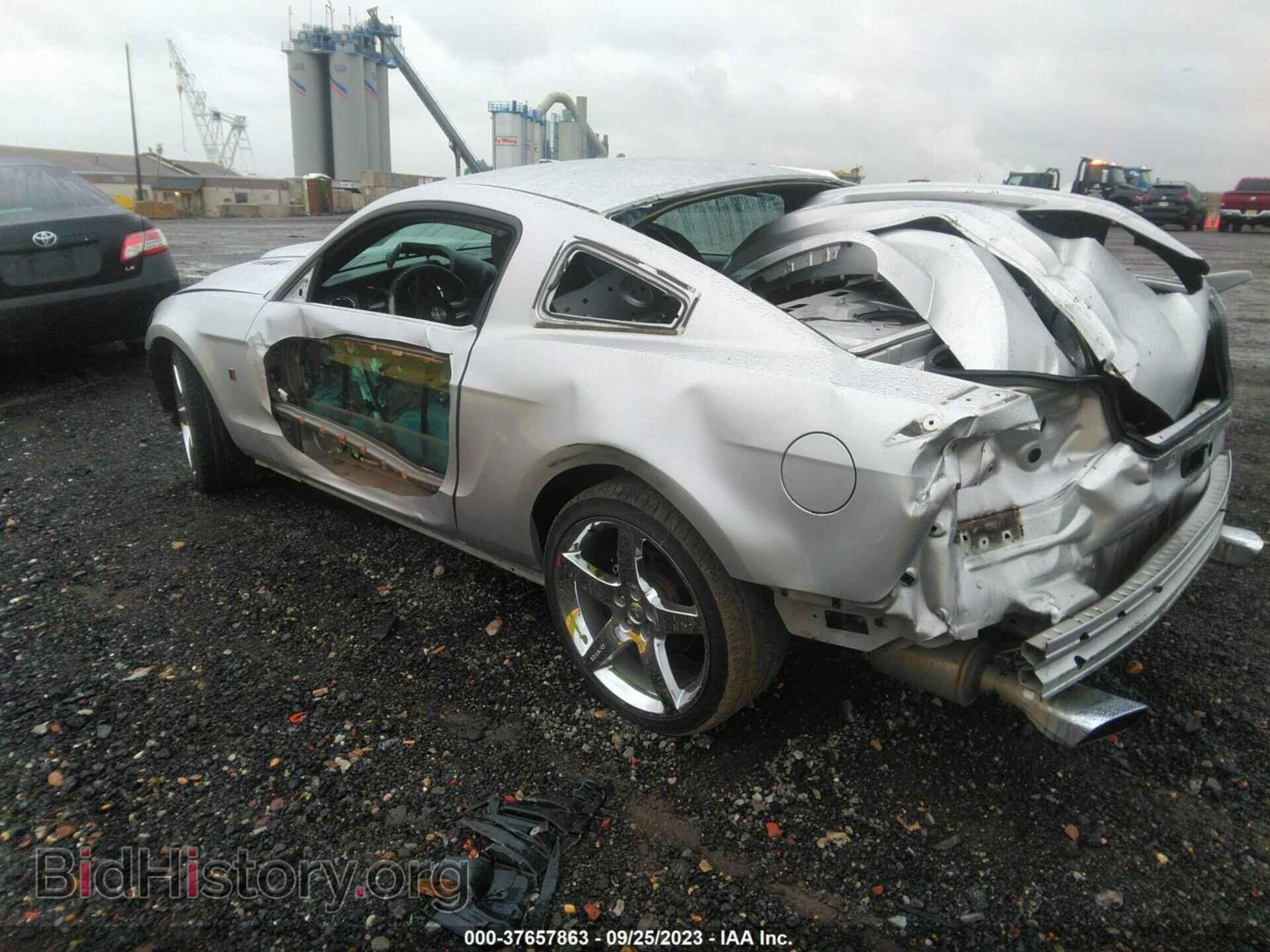 2013 FORD MUSTANG - VIN: 1ZVBP8CF7D5225038 - Фото 3