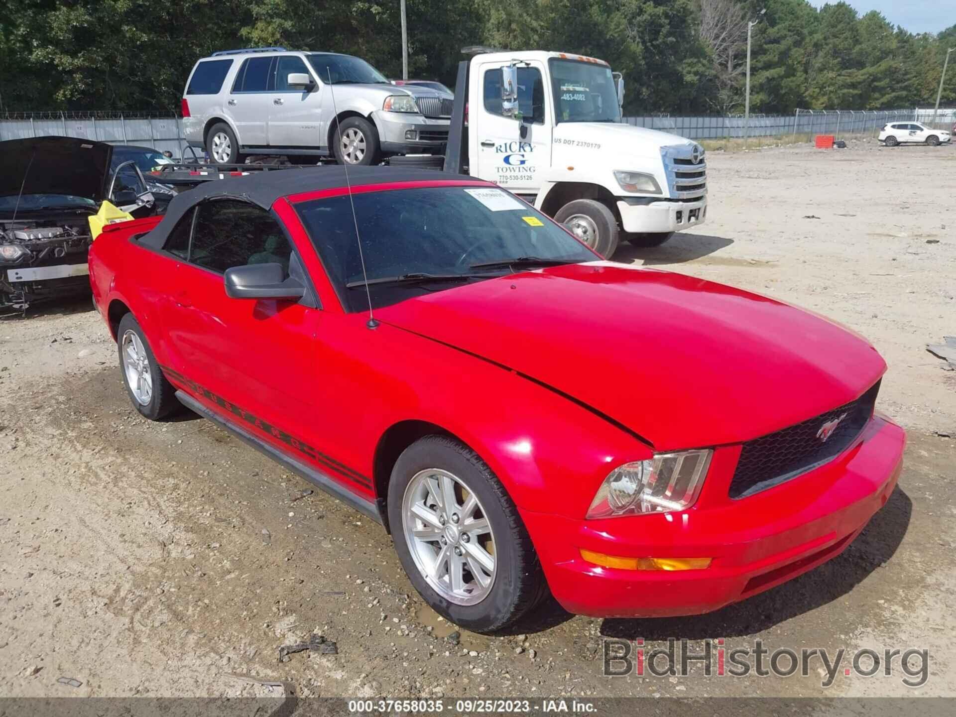 Photo 1ZVHT84N585144816 - FORD MUSTANG 2008