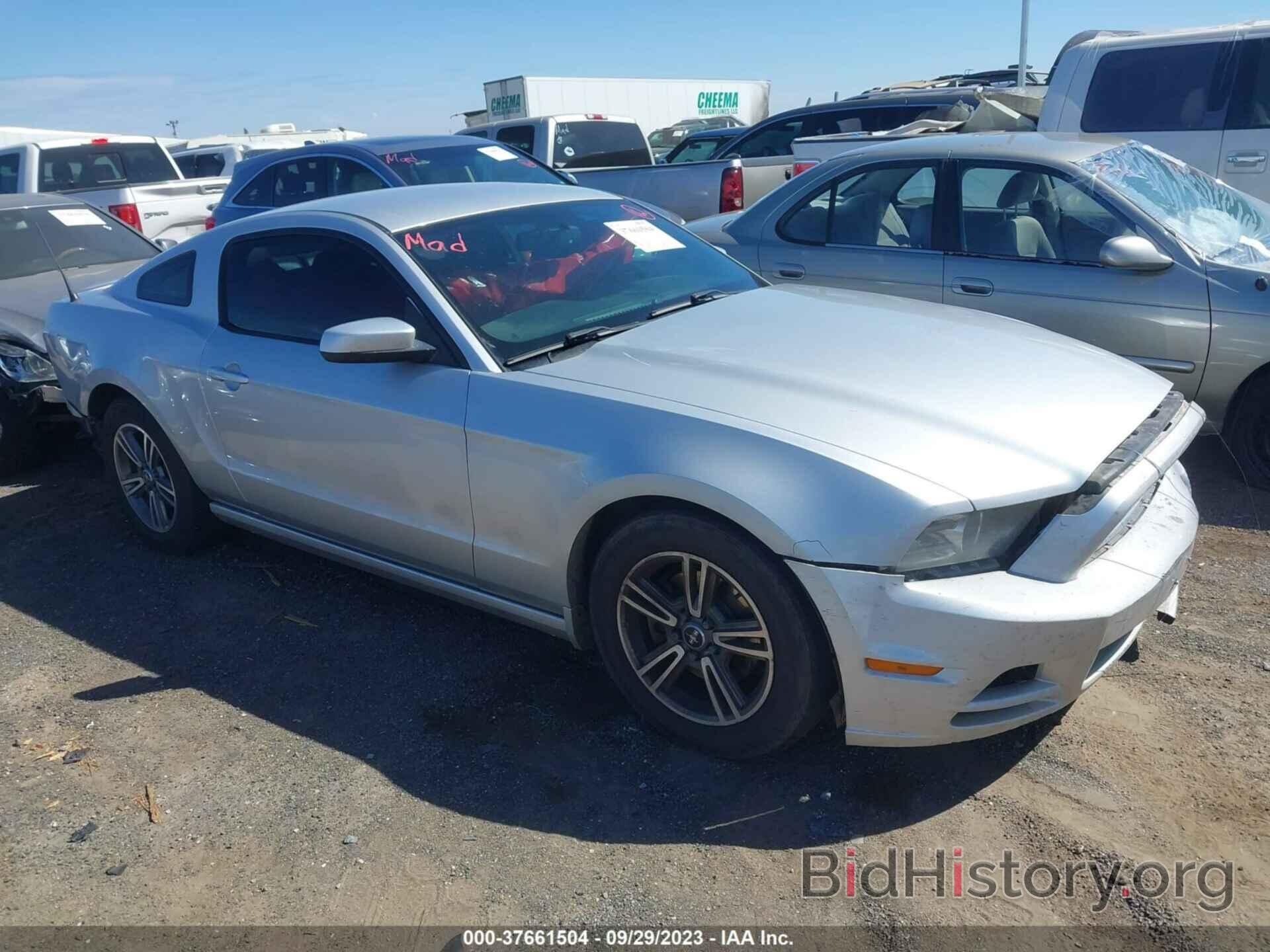 Photo 1ZVBP8AMXD5233863 - FORD MUSTANG 2013