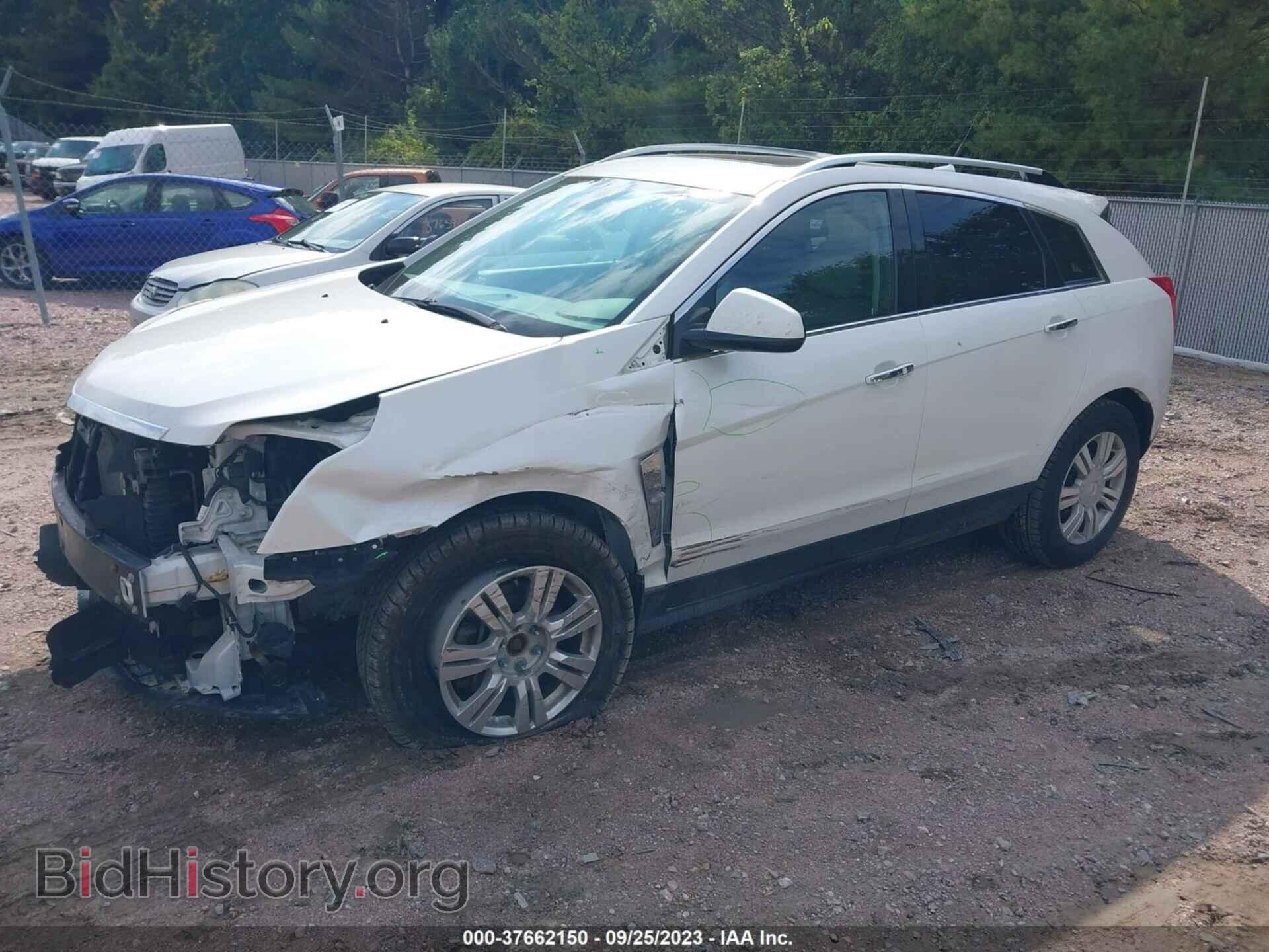 2011 CADILLAC SRX - VIN: 3GYFNDEY8BS563174 - Фото 2