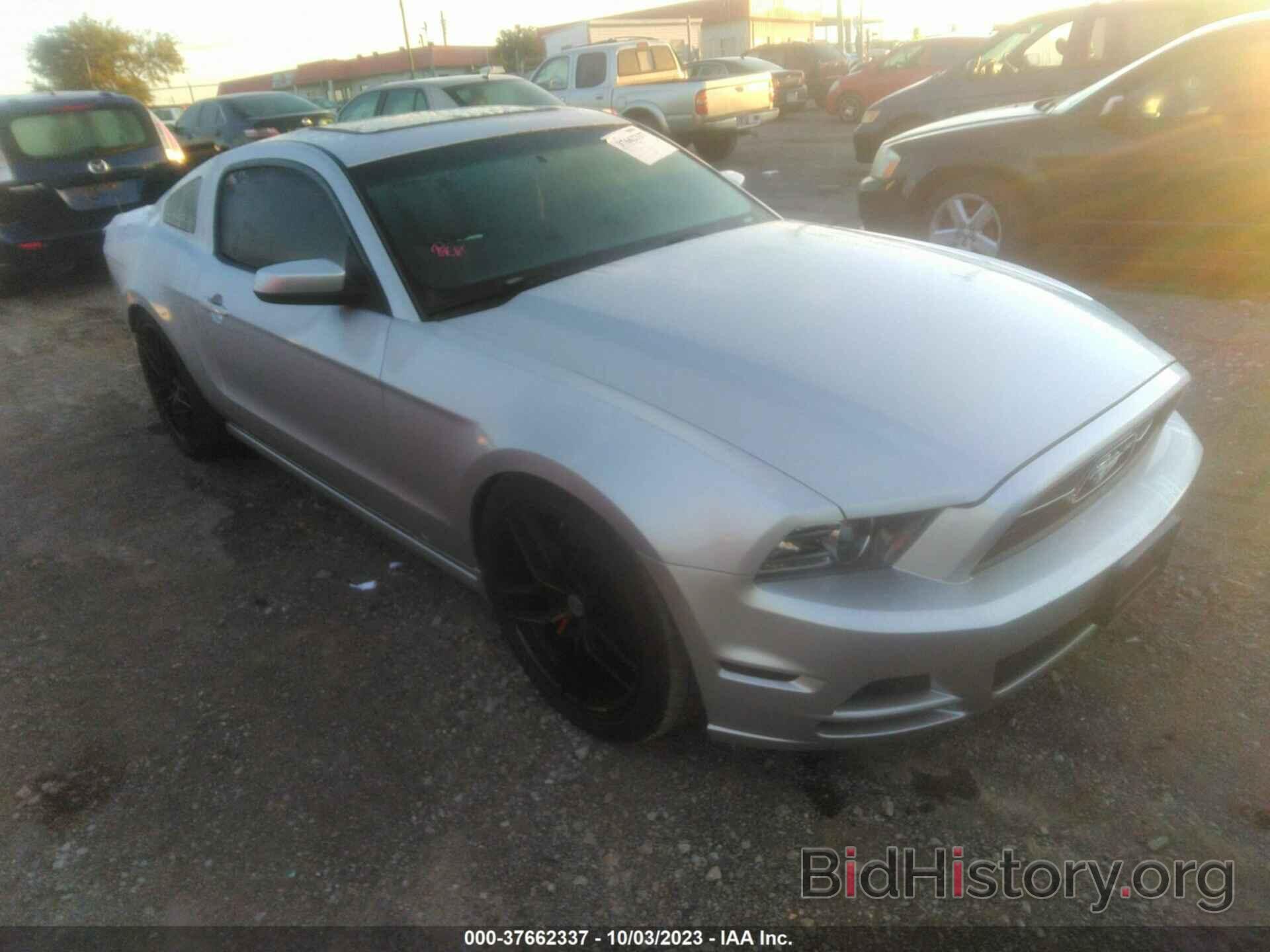 Photo 1ZVBP8AM0D5218823 - FORD MUSTANG 2013