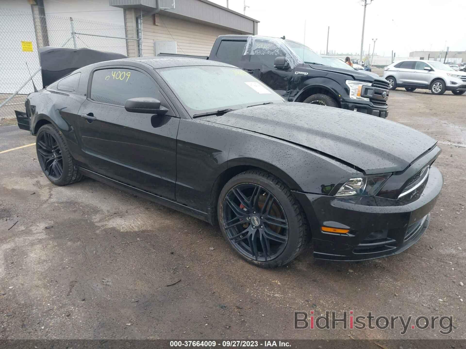 Photo 1ZVBP8AM9E5221348 - FORD MUSTANG 2014
