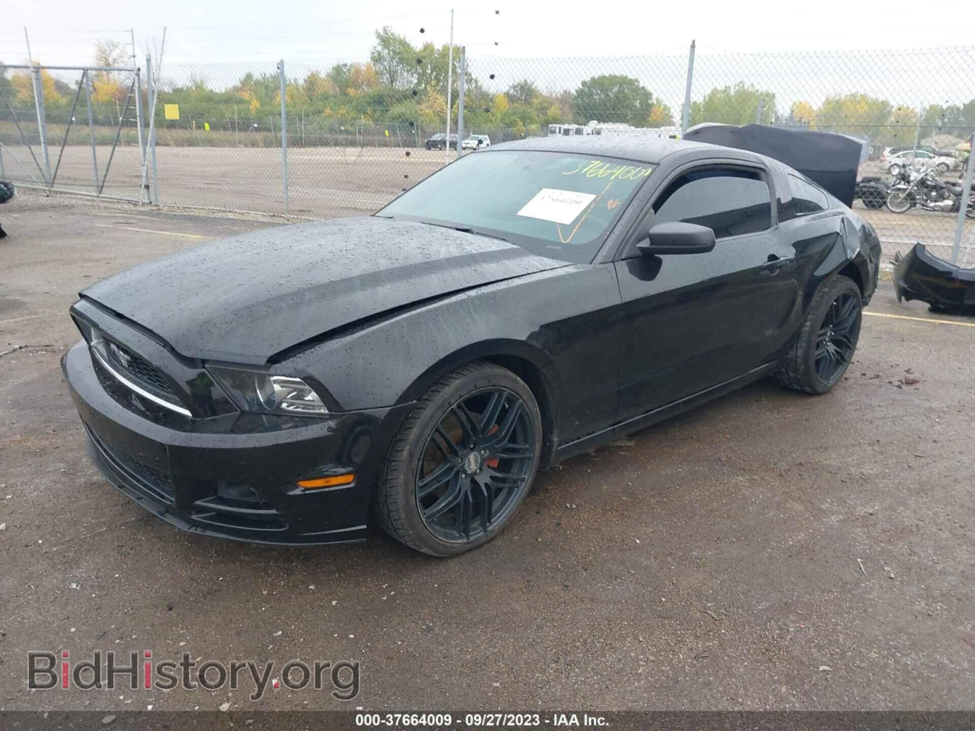 2014 FORD MUSTANG - VIN: 1ZVBP8AM9E5221348 - Фото 2