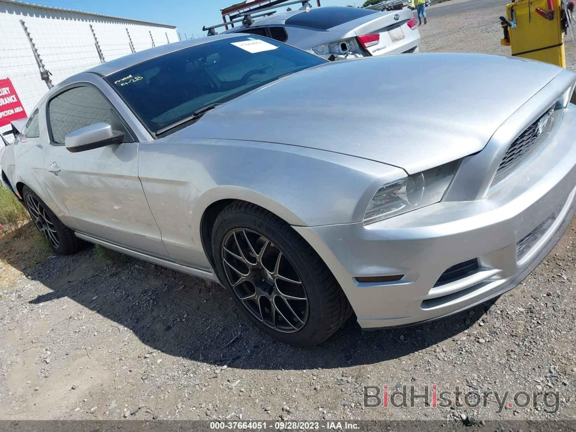 Photo 1ZVBP8AM5E5292708 - FORD MUSTANG 2014