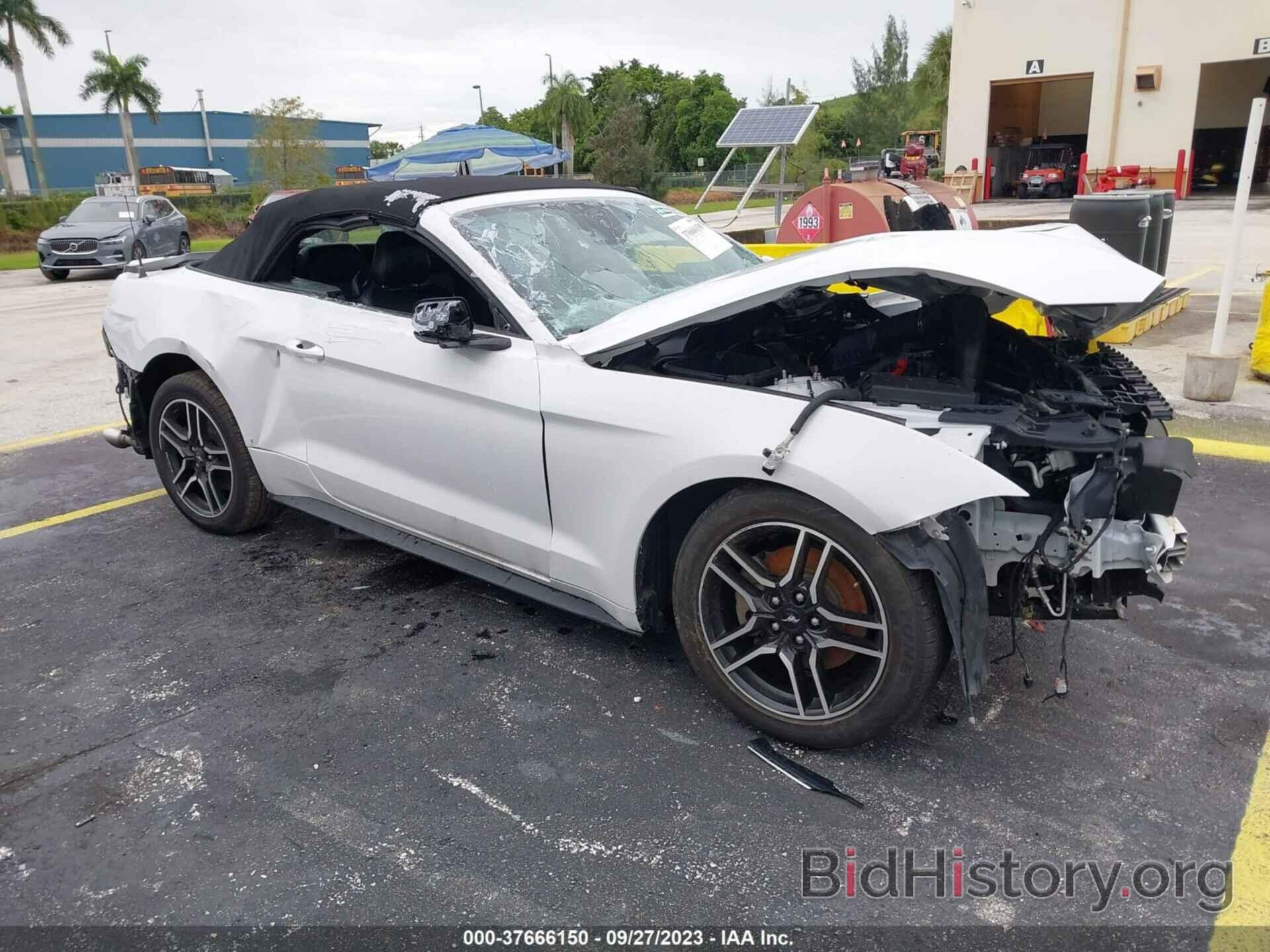 Photo 1FATP8UH1M5105779 - FORD MUSTANG 2021