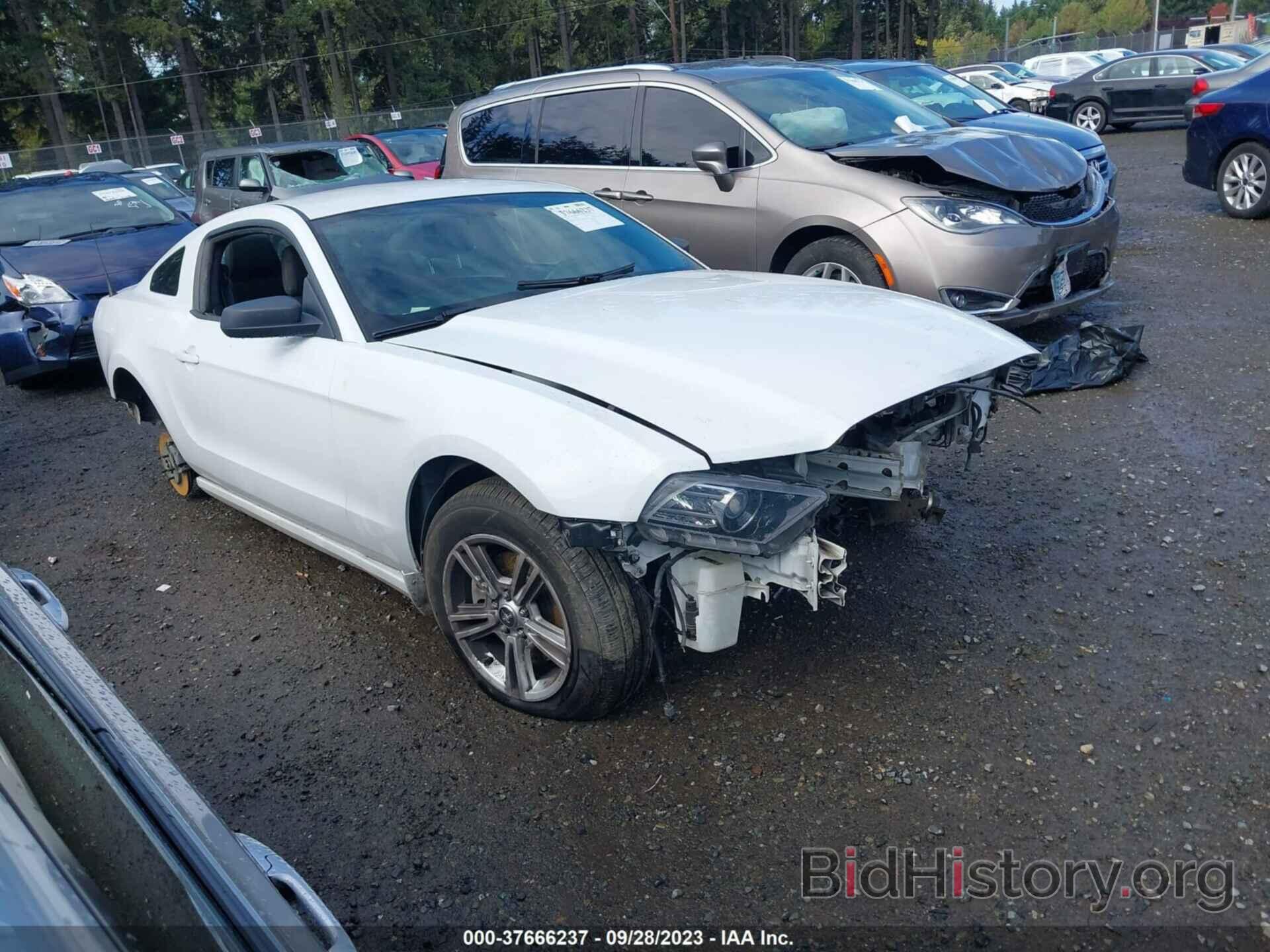 Photo 1ZVBP8AM6E5241332 - FORD MUSTANG 2014