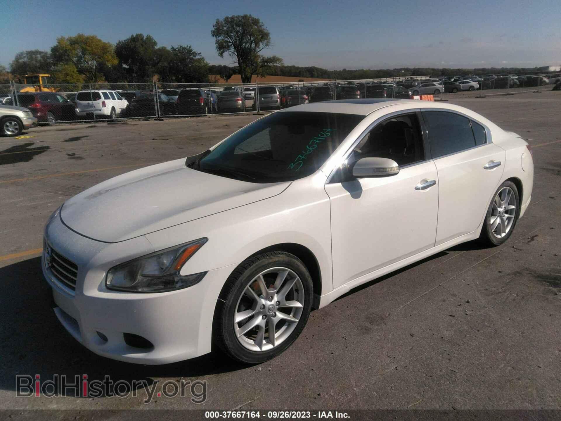 2009 NISSAN MAXIMA - VIN: 1N4AA51E39C823077 - Фото 2