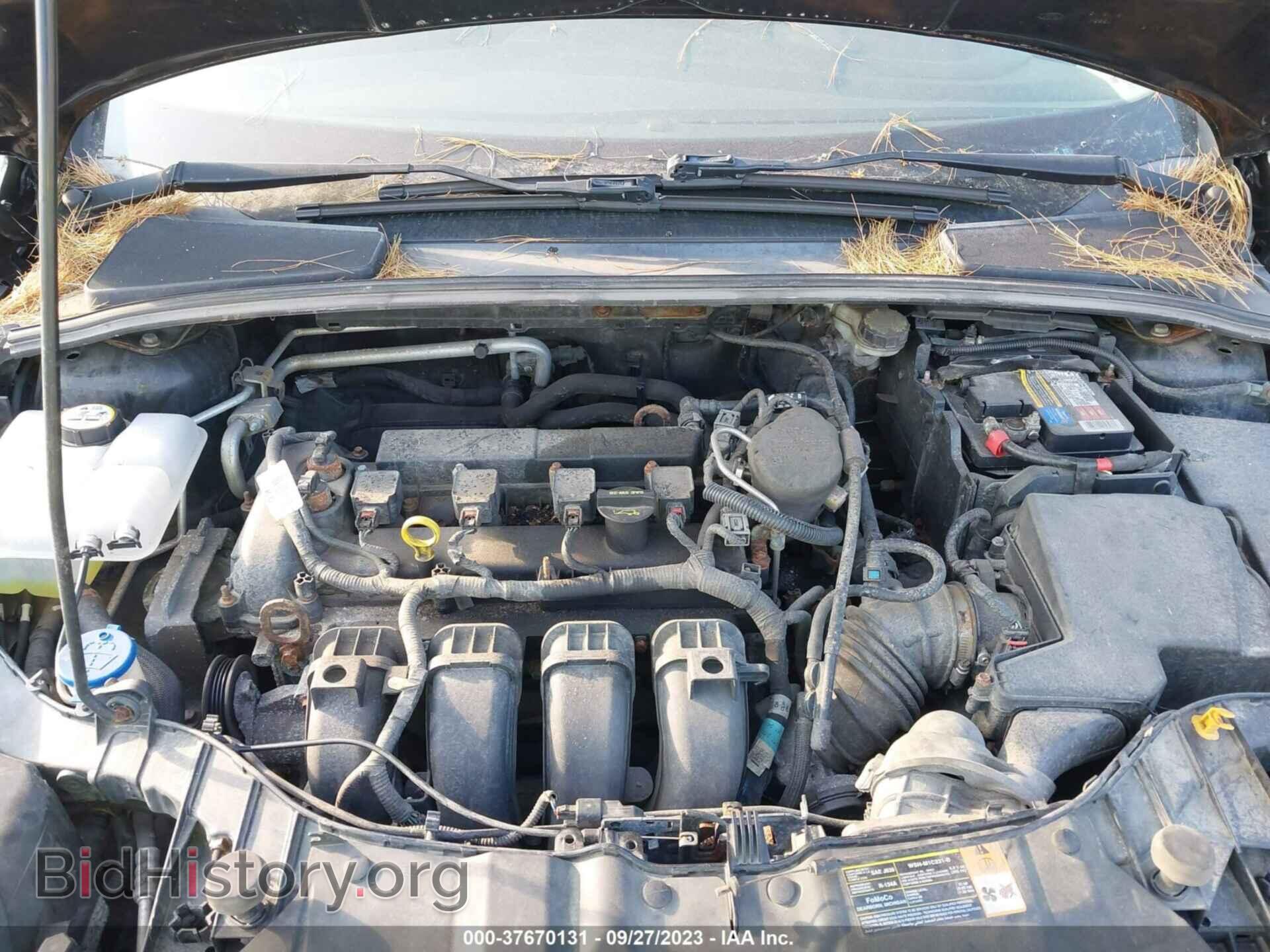 2013 FORD FOCUS - VIN: 1FADP3K25DL280182 - Фото 10