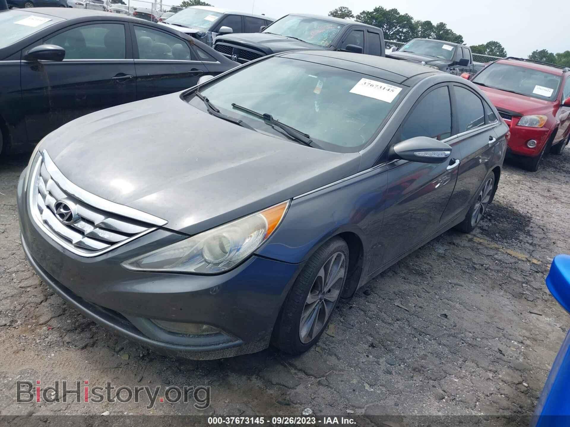 2013 HYUNDAI SONATA - VIN: 5NPEC4AB9DH602327 - Фото 2