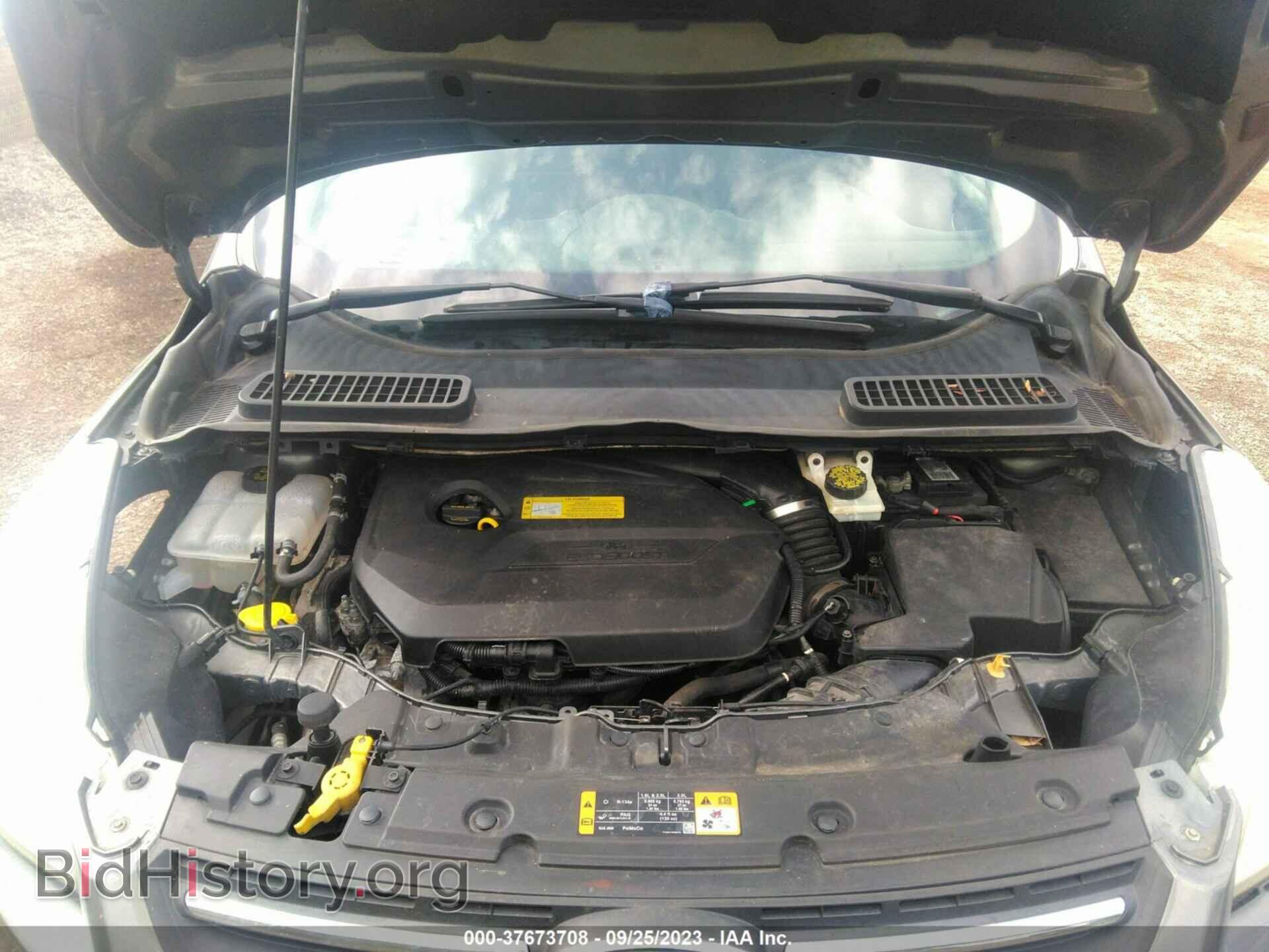 2014 FORD ESCAPE - VIN: 1FMCU0GX3EUC93716 - Photo 10