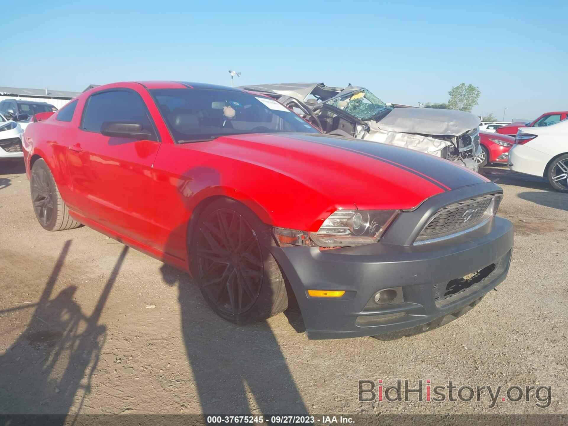 Photo 1ZVBP8AM9D5274789 - FORD MUSTANG 2013