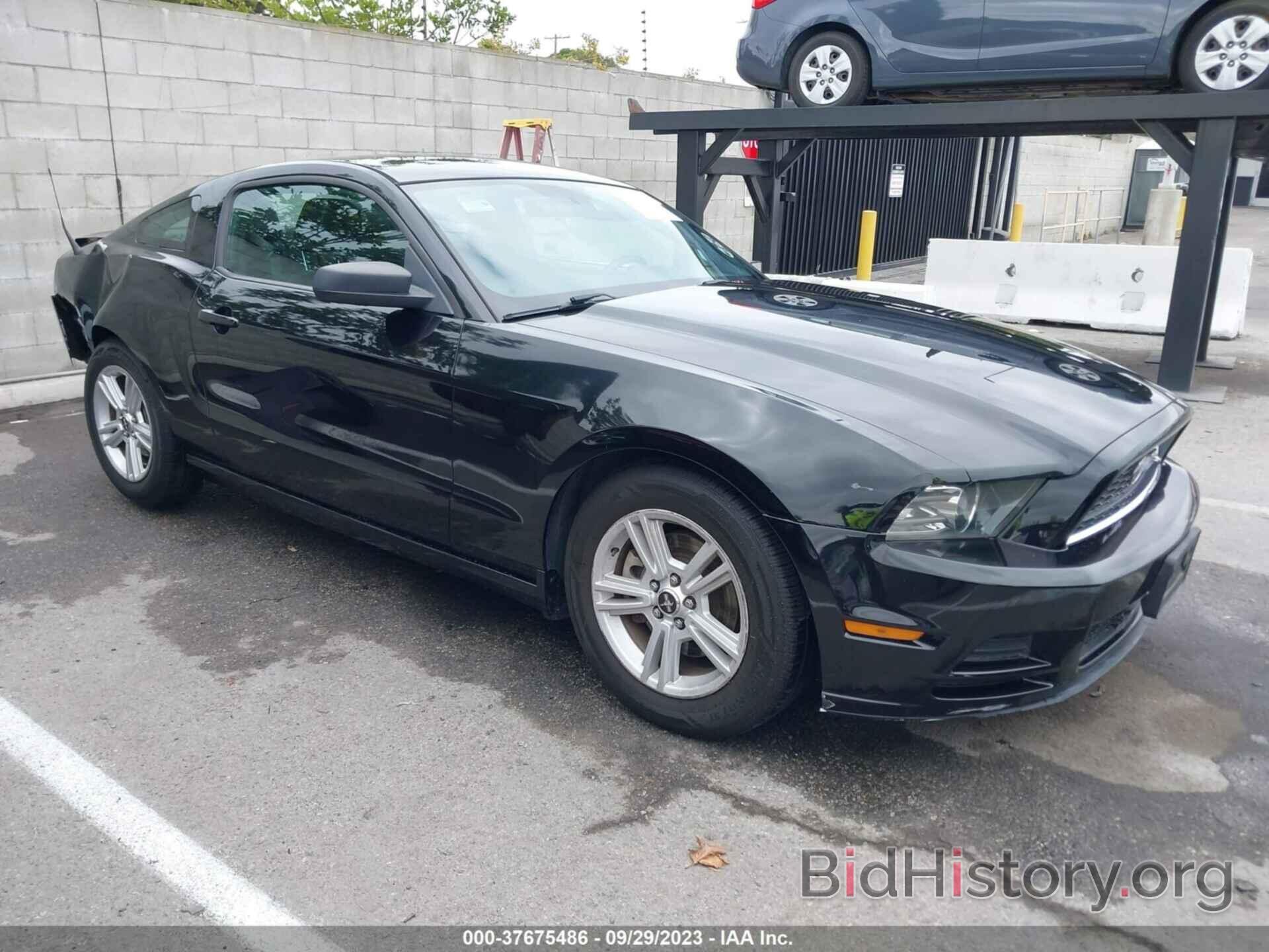 Photo 1ZVBP8AM9D5241775 - FORD MUSTANG 2013