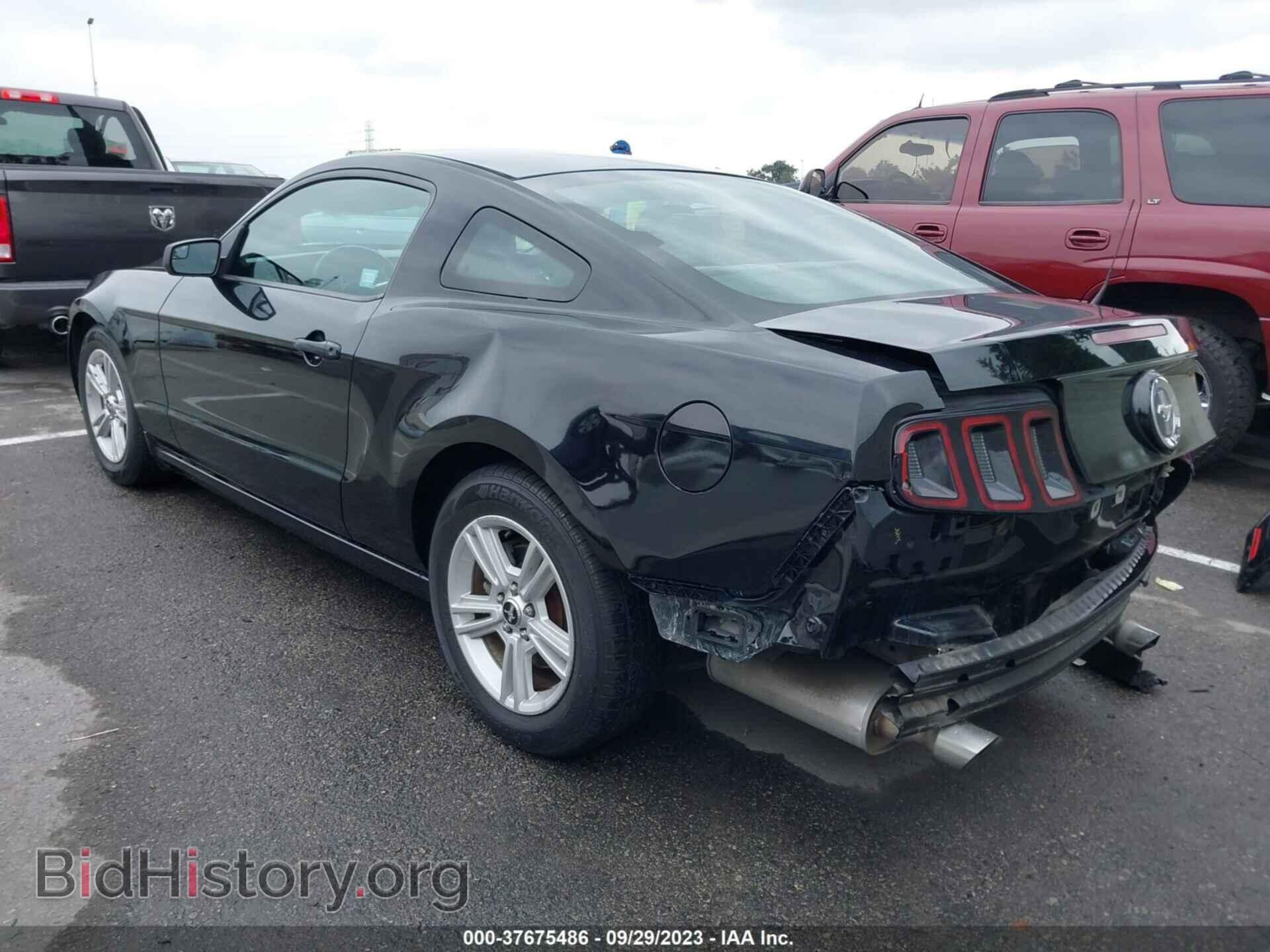 2013 FORD MUSTANG - VIN: 1ZVBP8AM9D5241775 - Фото 3