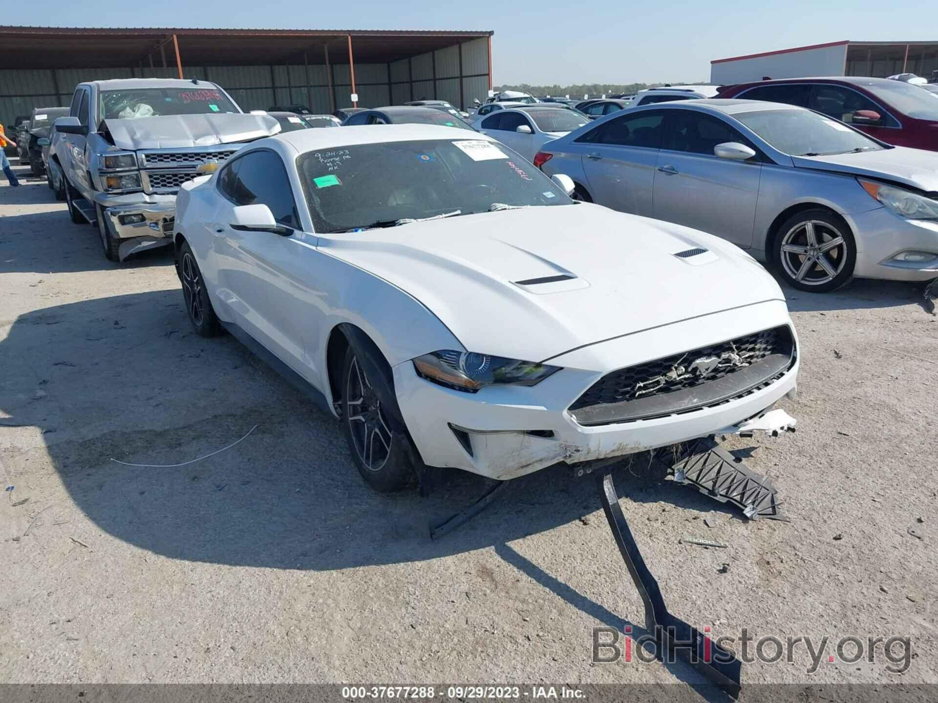 Photo 1FA6P8TH5L5136398 - FORD MUSTANG 2020