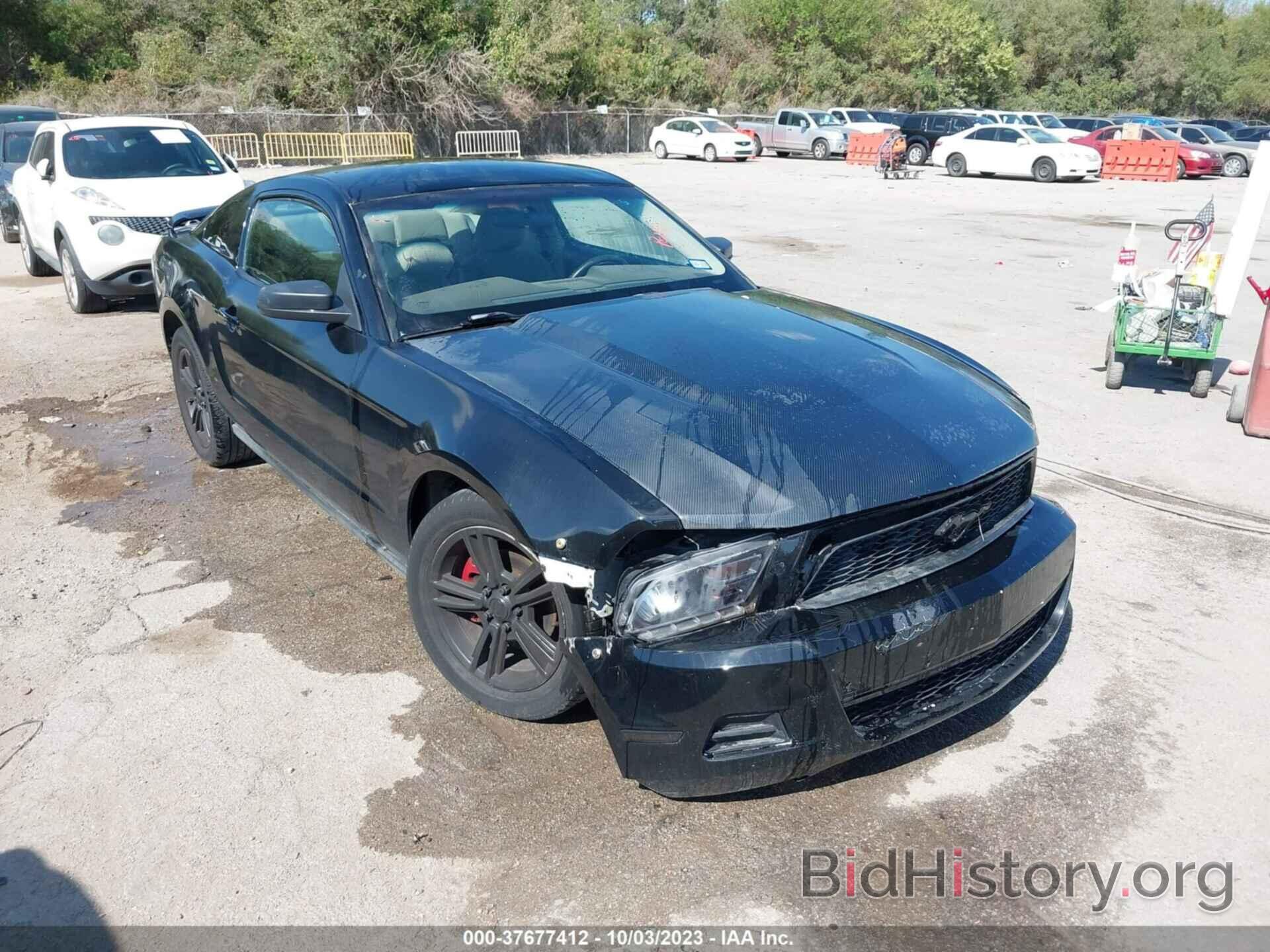 Photo 1ZVBP8AN7A5165221 - FORD MUSTANG 2010