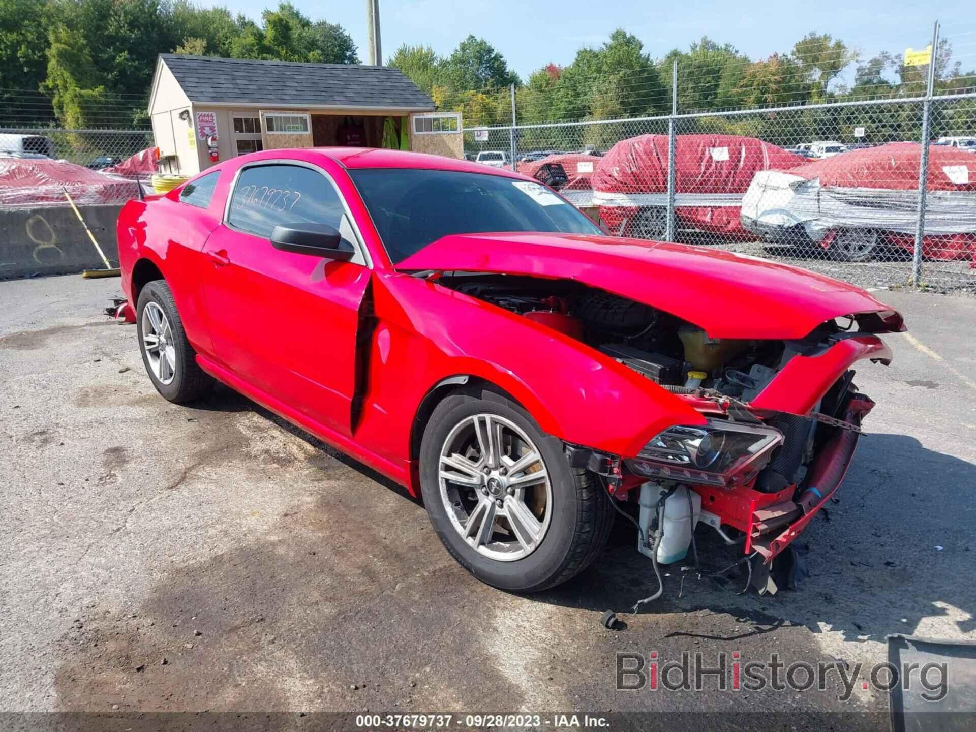 Photo 1ZVBP8AM6D5271932 - FORD MUSTANG 2013