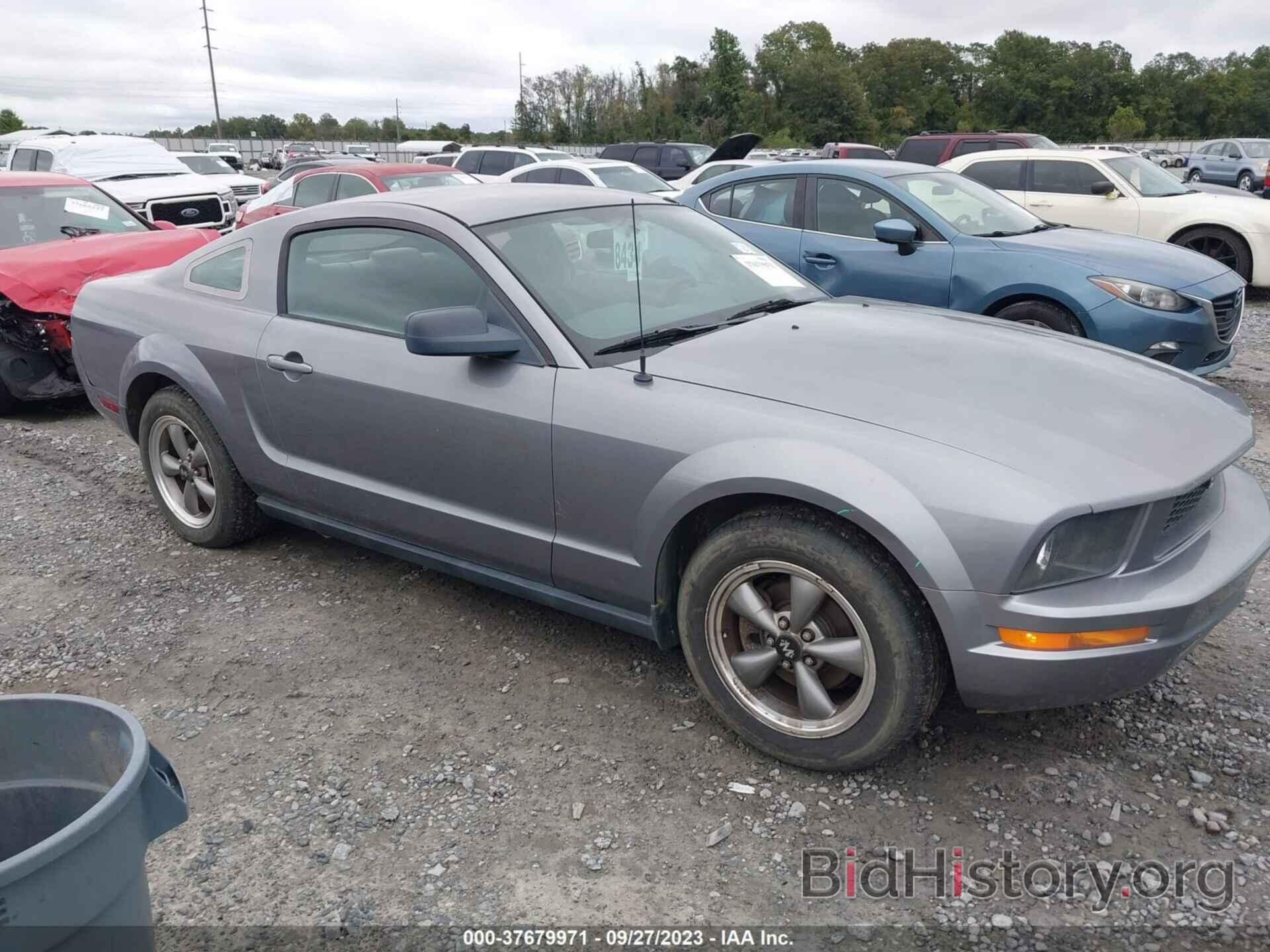 Photo 1ZVFT80N265180988 - FORD MUSTANG 2006