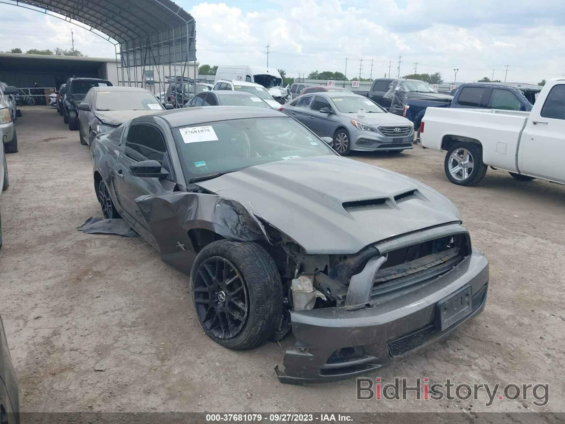 Photo 1ZVBP8AM5E5261040 - FORD MUSTANG 2014