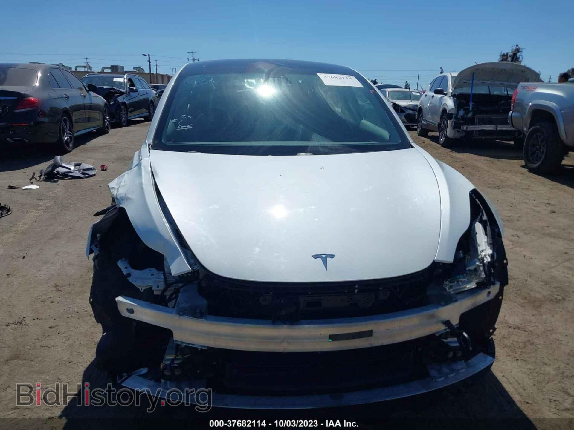 2021 TESLA MODEL 3 - VIN: 5YJ3E1EB0MF044702 - Photo 12