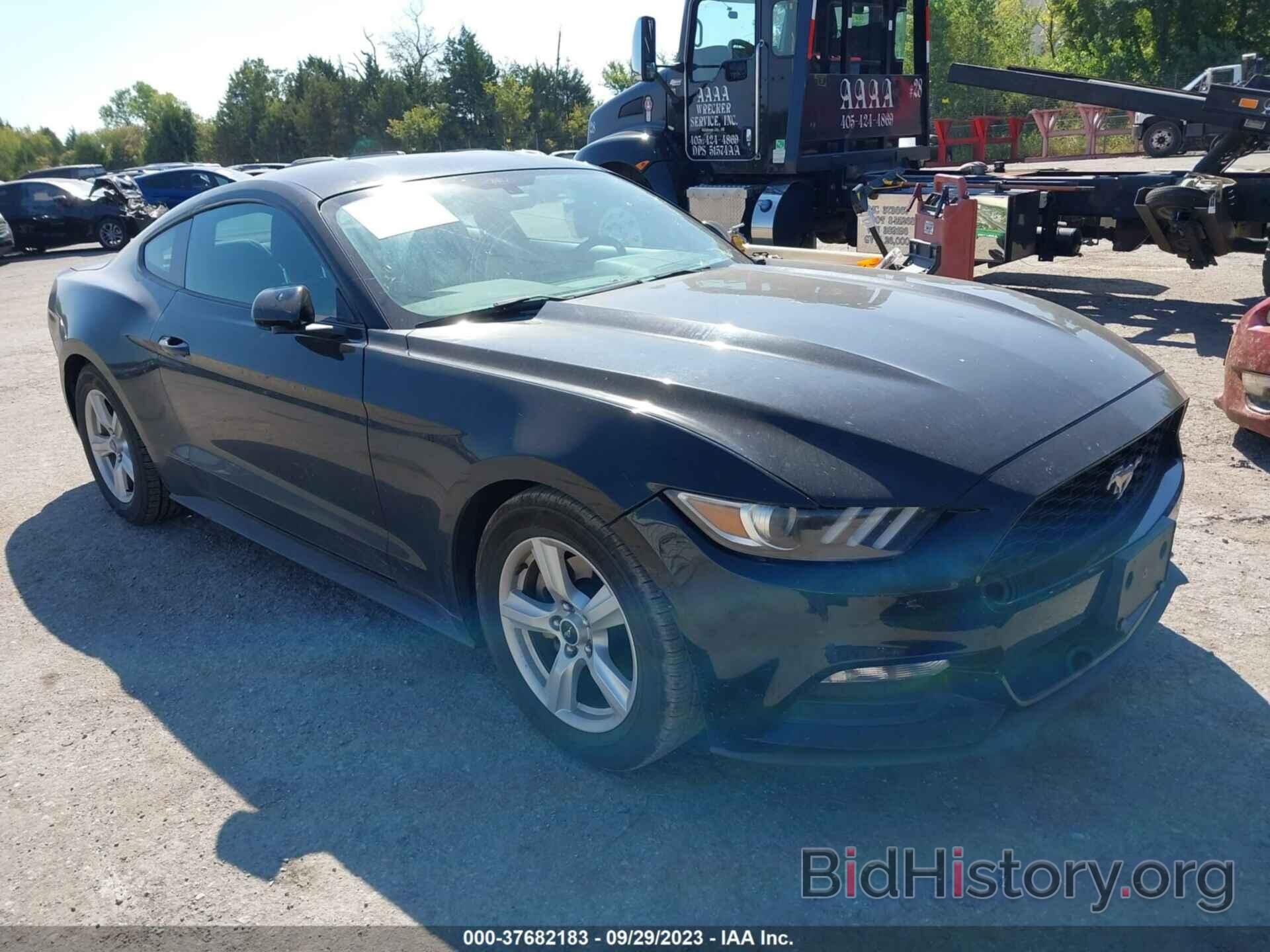 Photo 1FA6P8AM3H5223594 - FORD MUSTANG 2017