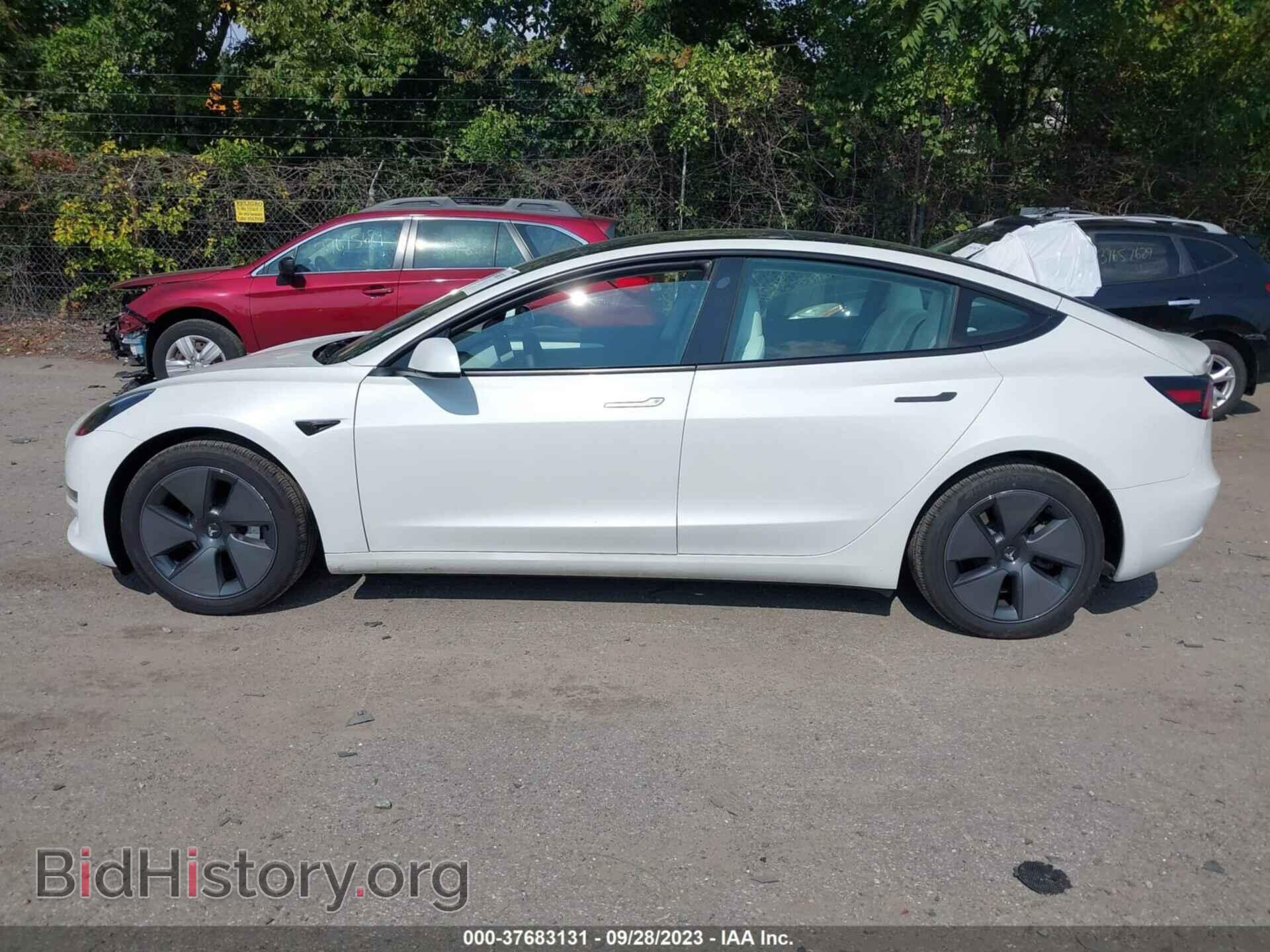 2023 TESLA MODEL 3 - VIN: 5YJ3E1EA6PF497833 - Фото 13