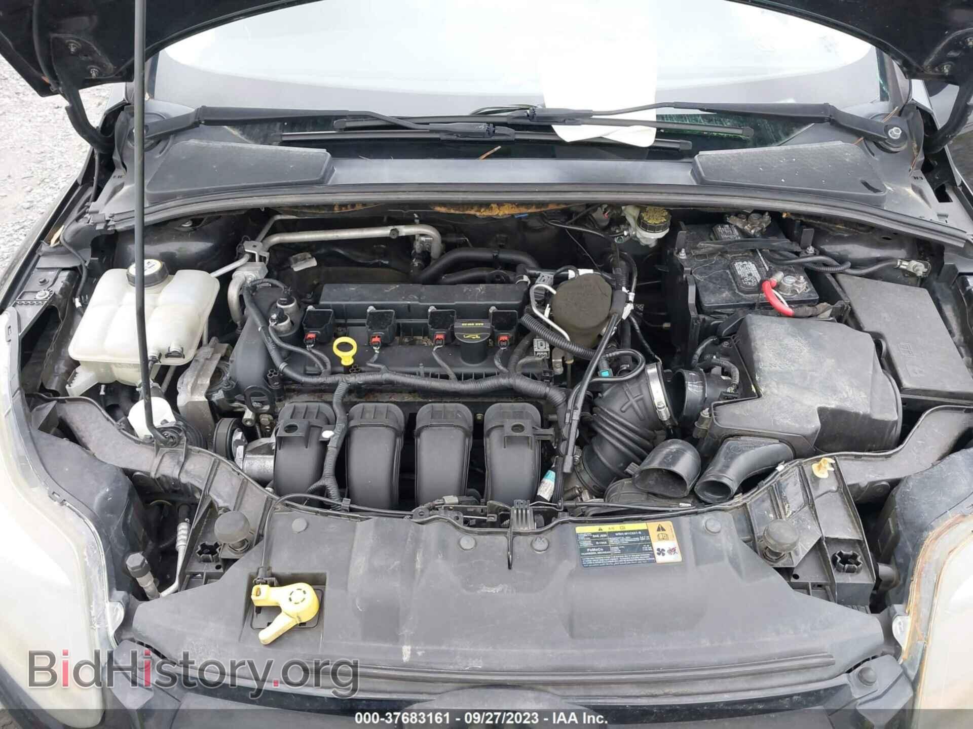2013 FORD FOCUS - VIN: 1FADP3J24DL231220 - Фото 10