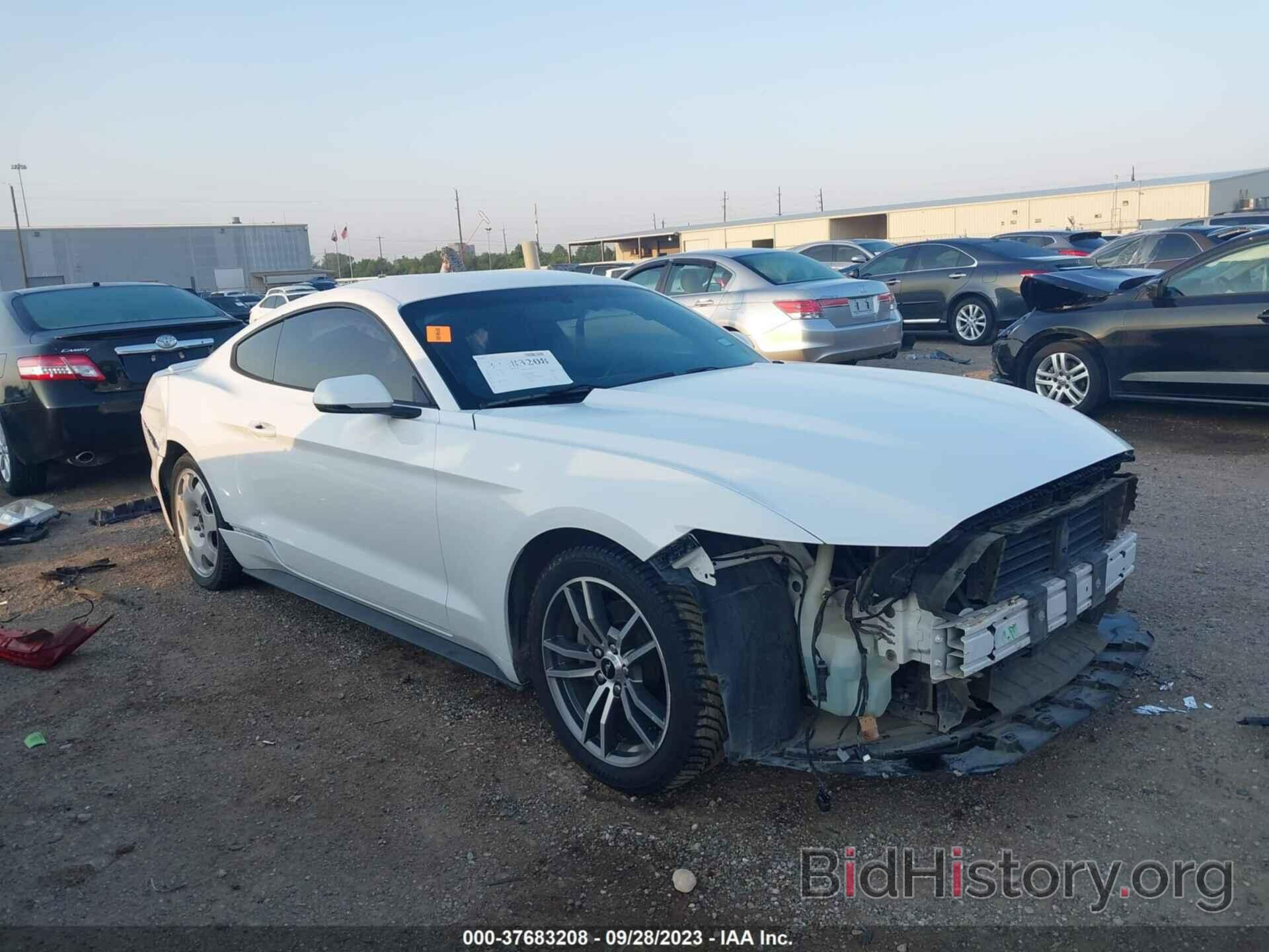 Photo 1FA6P8TH7F5332590 - FORD MUSTANG 2015