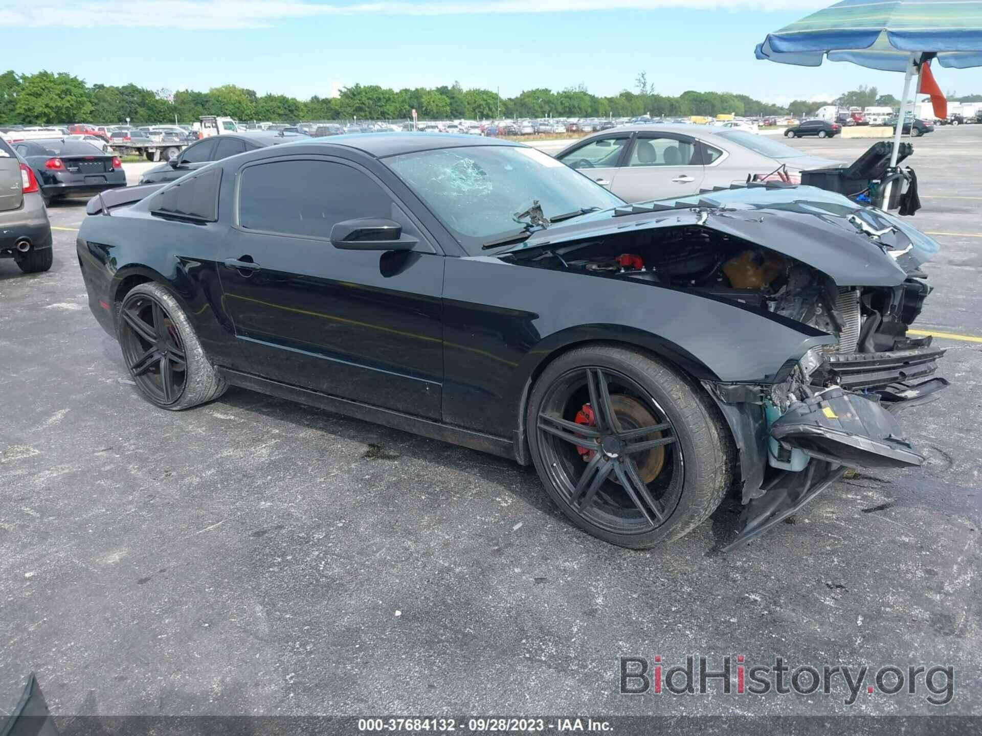 Photo 1ZVBP8AM3E5325091 - FORD MUSTANG 2014