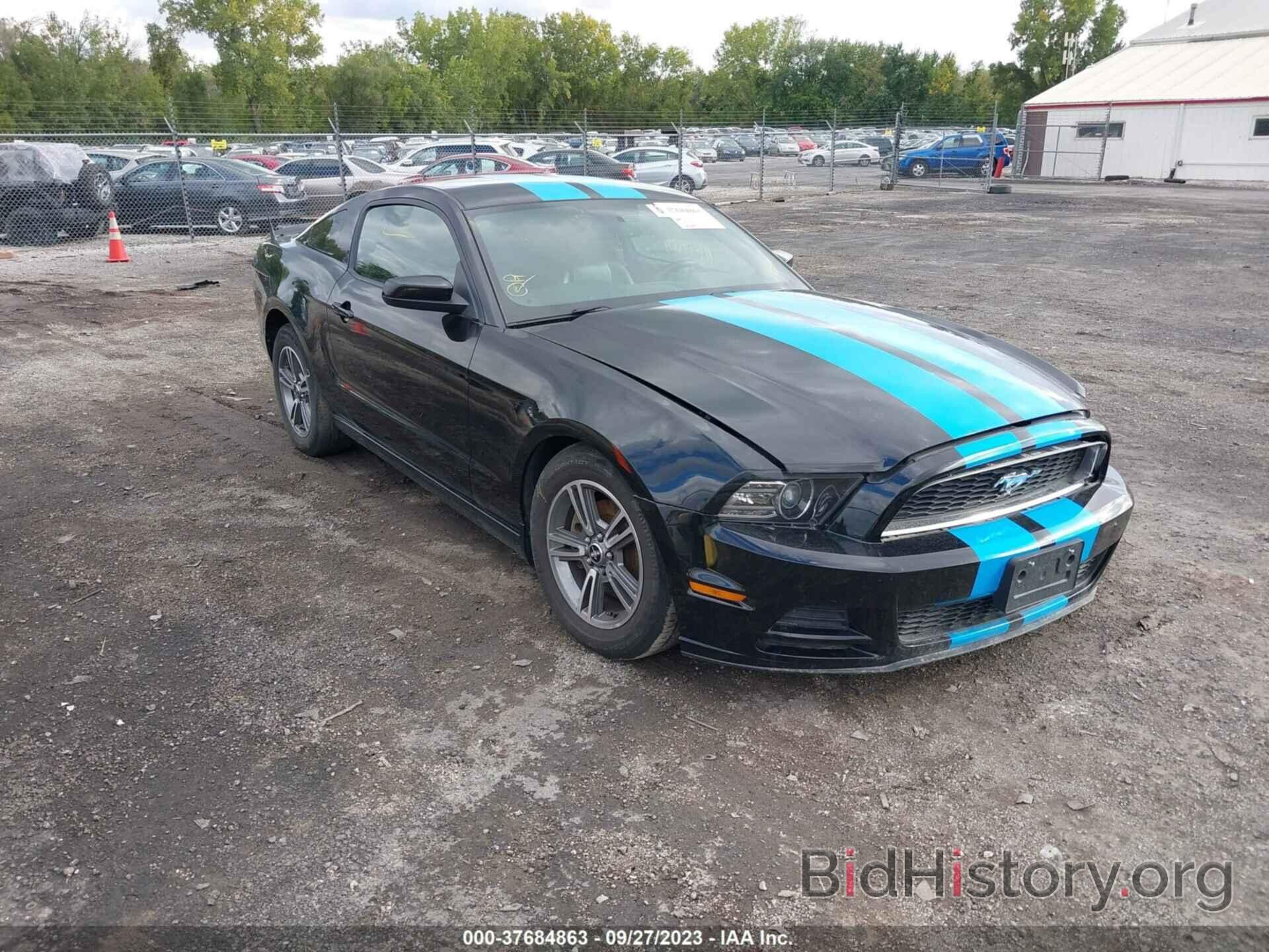 Photo 1ZVBP8AM0D5203092 - FORD MUSTANG 2013