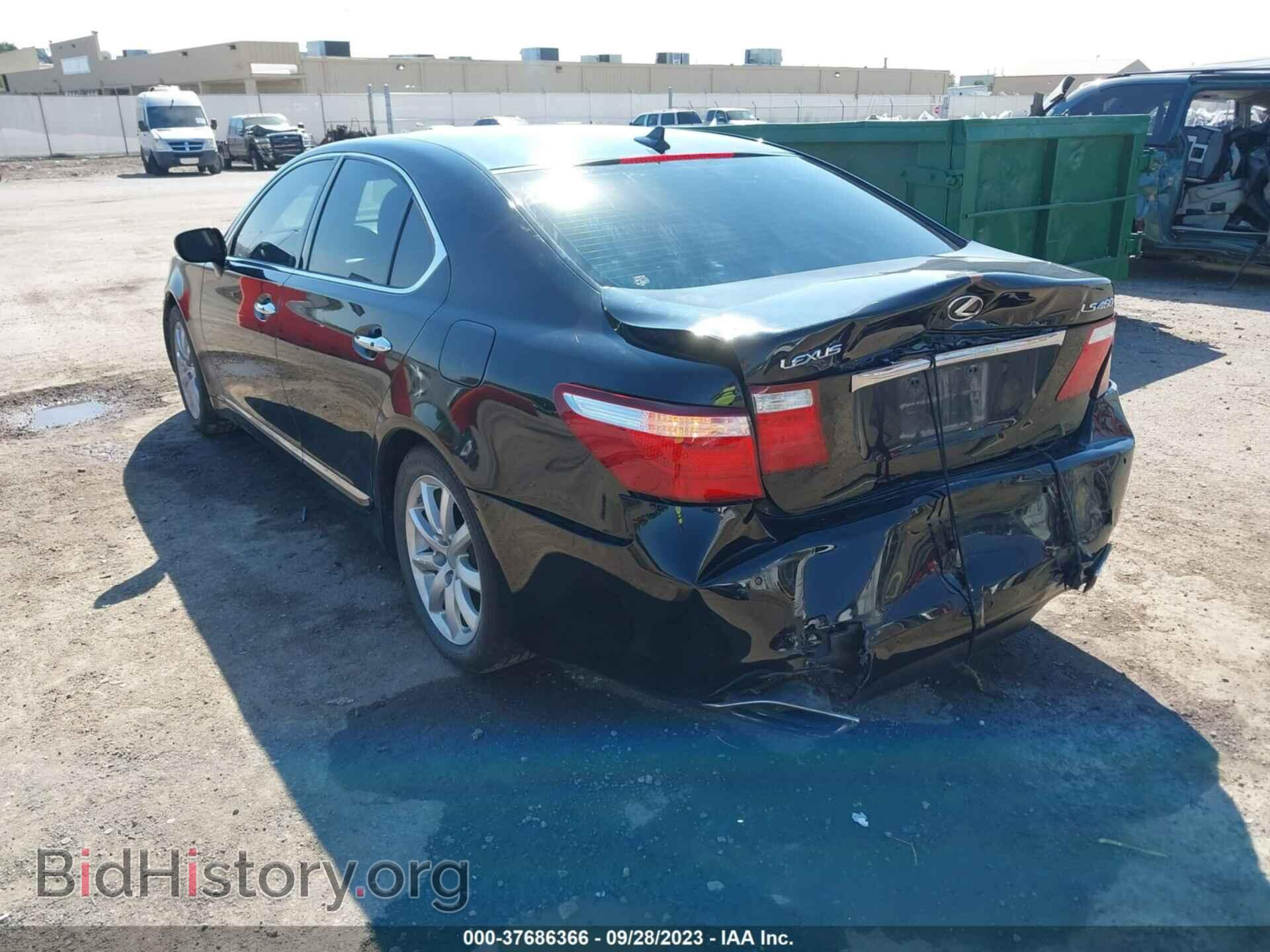 2009 LEXUS LS 460 - VIN: JTHBL46F395085823 - Фото 3