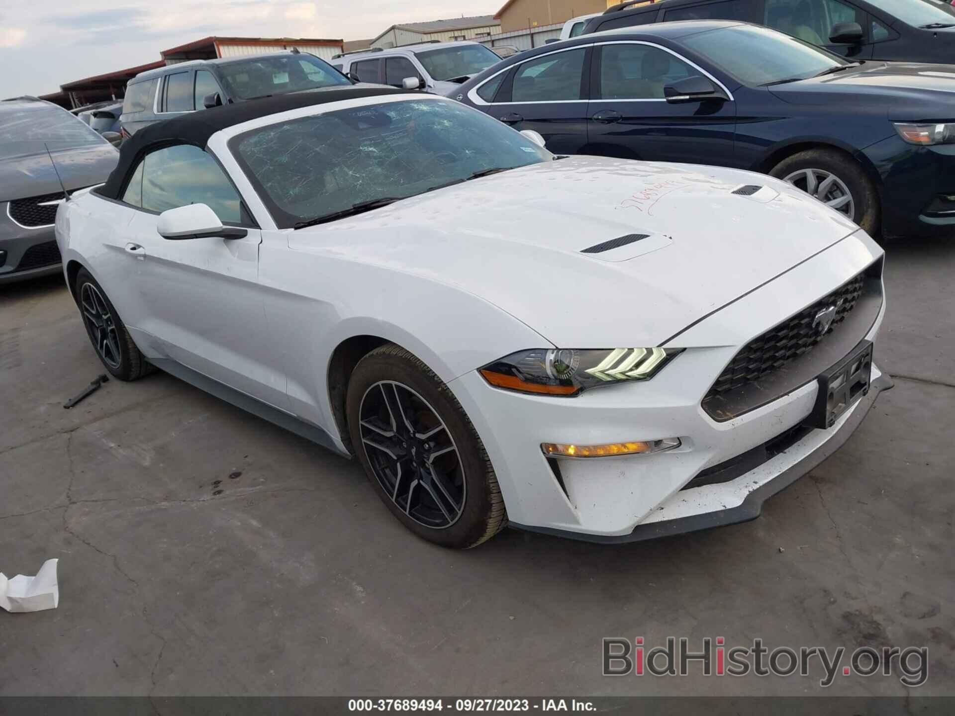 Photo 1FATP8UH3M5115617 - FORD MUSTANG 2021