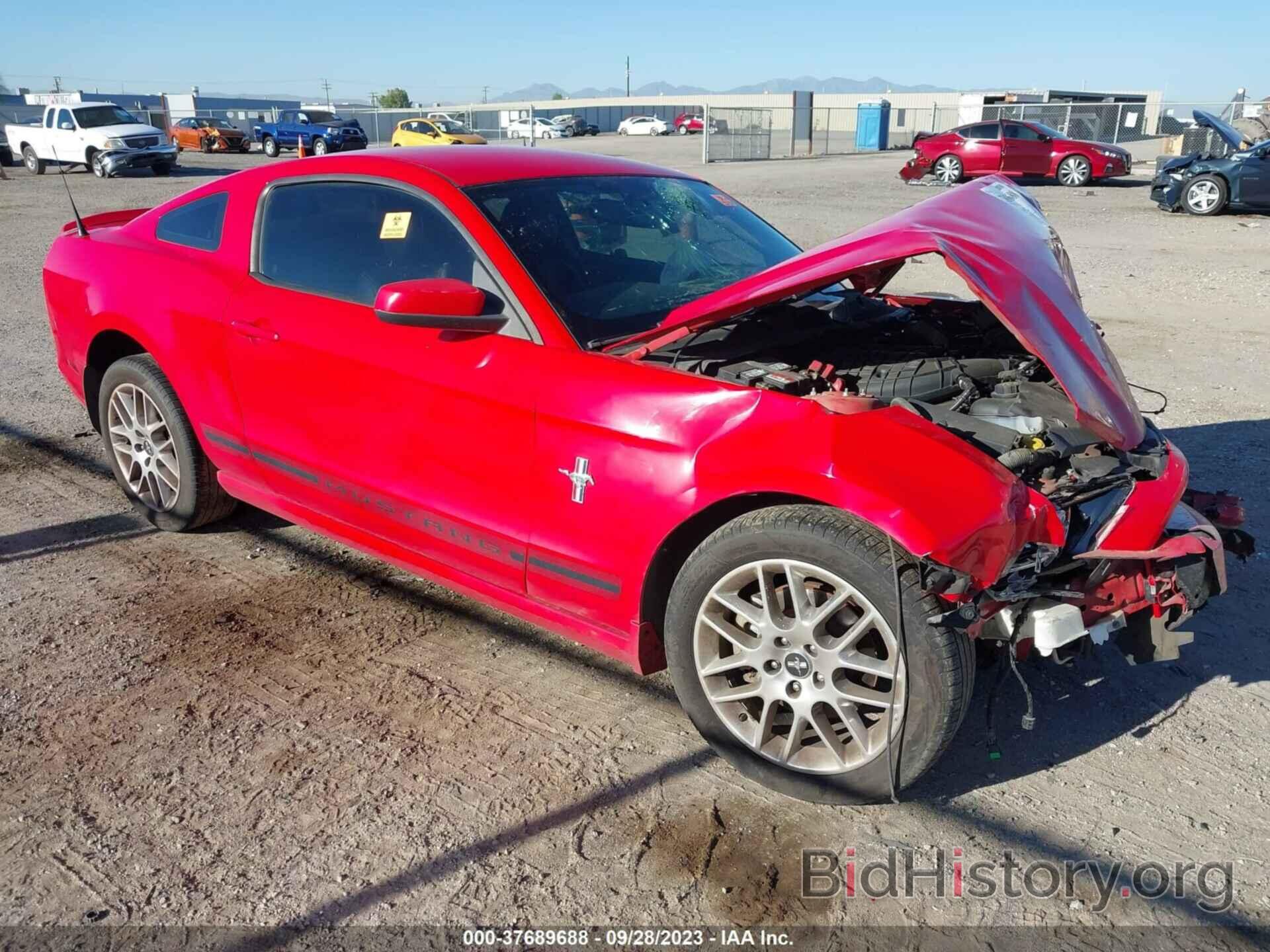 Photo 1ZVBP8AM9E5254950 - FORD MUSTANG 2014
