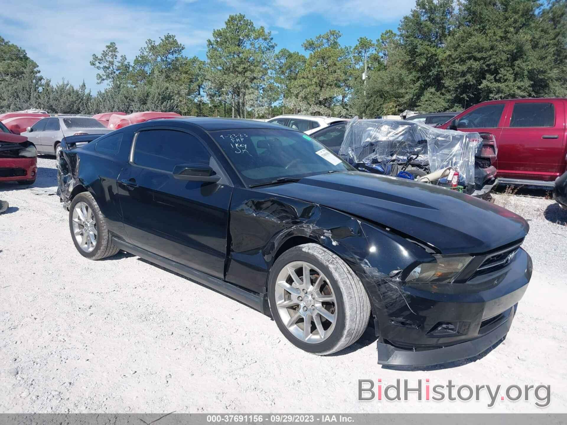 Photo 1ZVBP8AN3A5156290 - FORD MUSTANG 2010