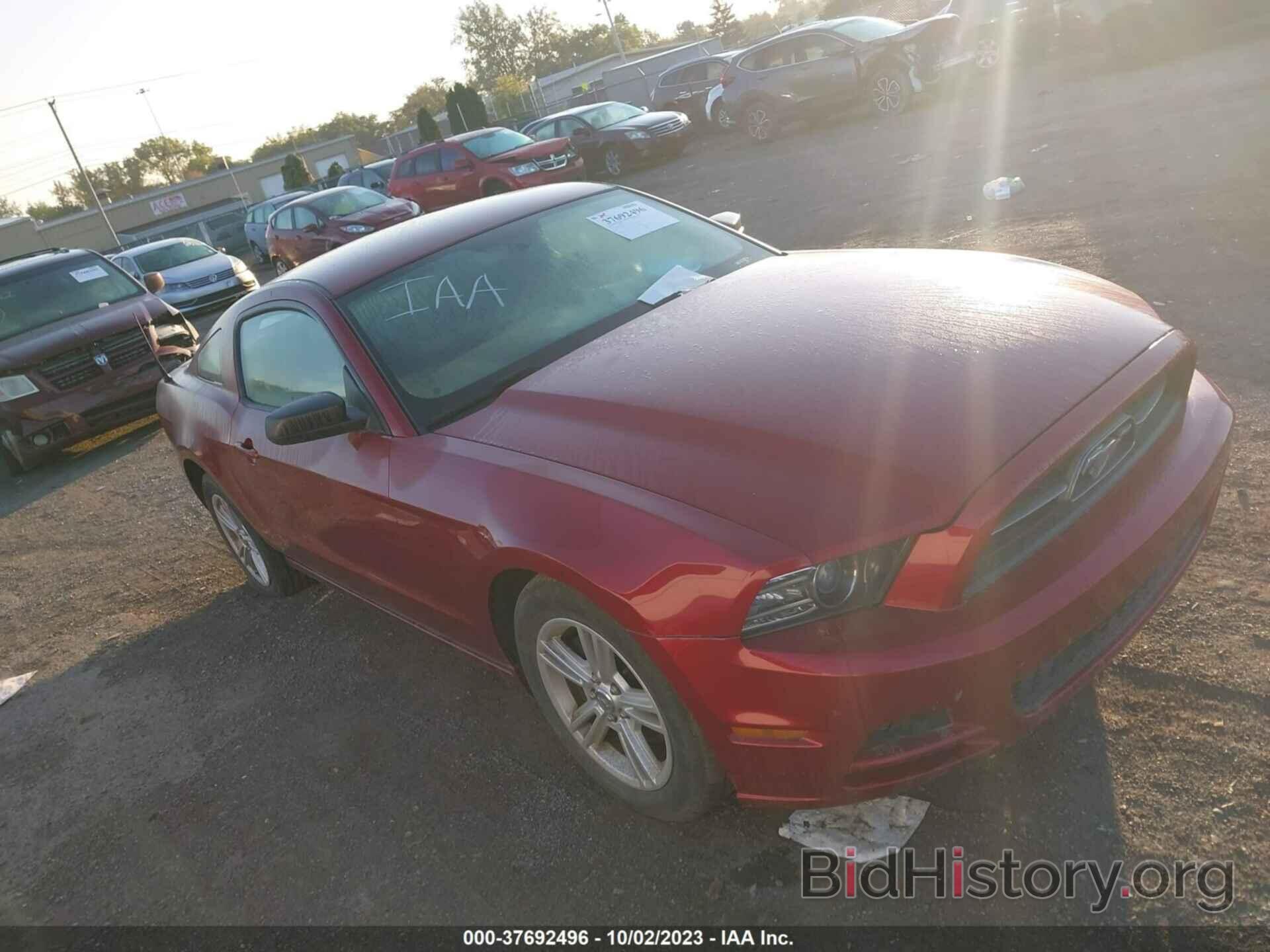 Photo 1ZVBP8AM5E5231147 - FORD MUSTANG 2014
