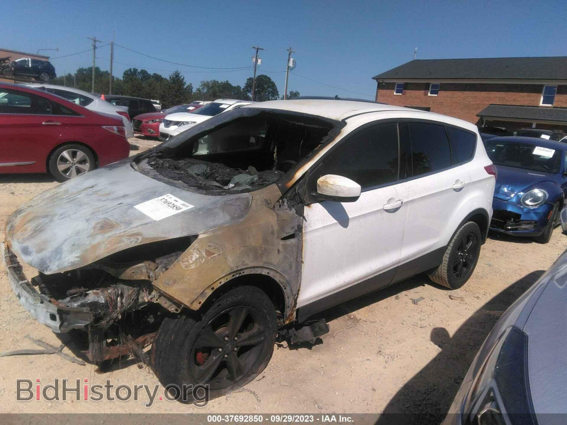 2013 FORD ESCAPE - VIN: 1FMCU0GX2DUD83373 - Фото 2