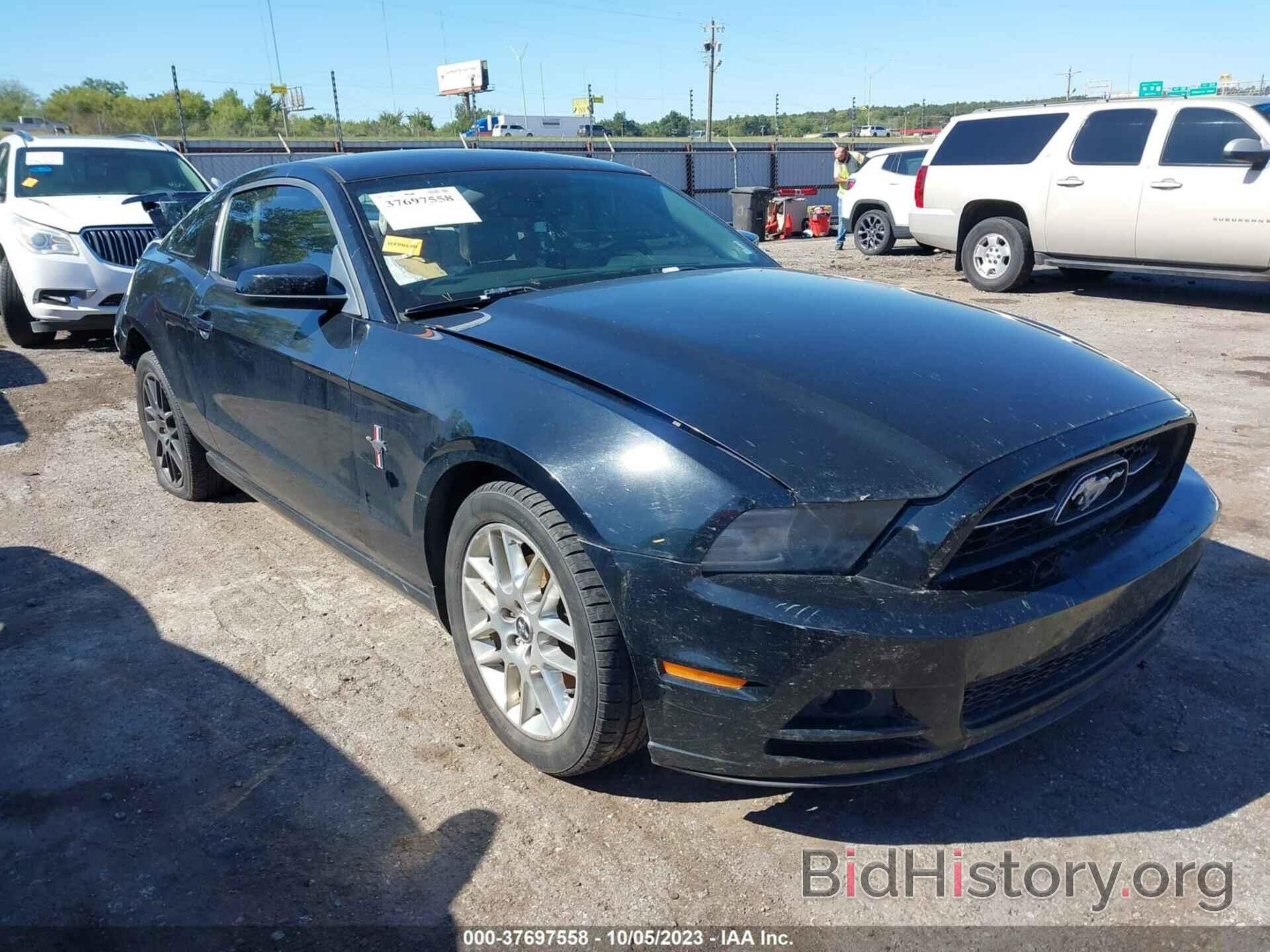 Photo 1ZVBP8AM9E5242295 - FORD MUSTANG 2014