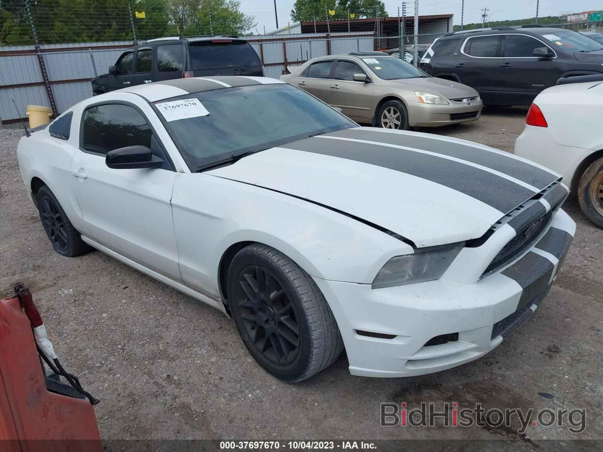 Photo 1ZVBP8AM1E5231422 - FORD MUSTANG 2014