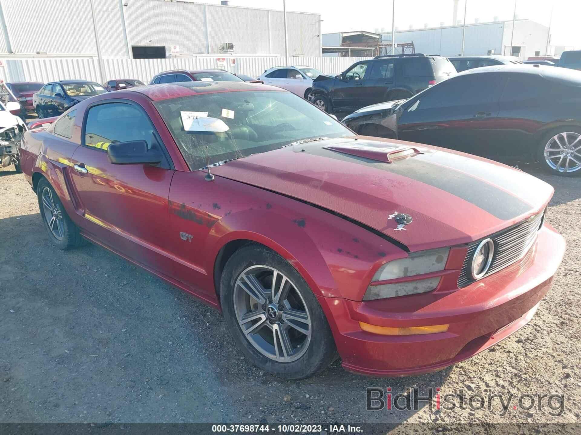 Photo 1ZVHT82H175260297 - FORD MUSTANG 2007